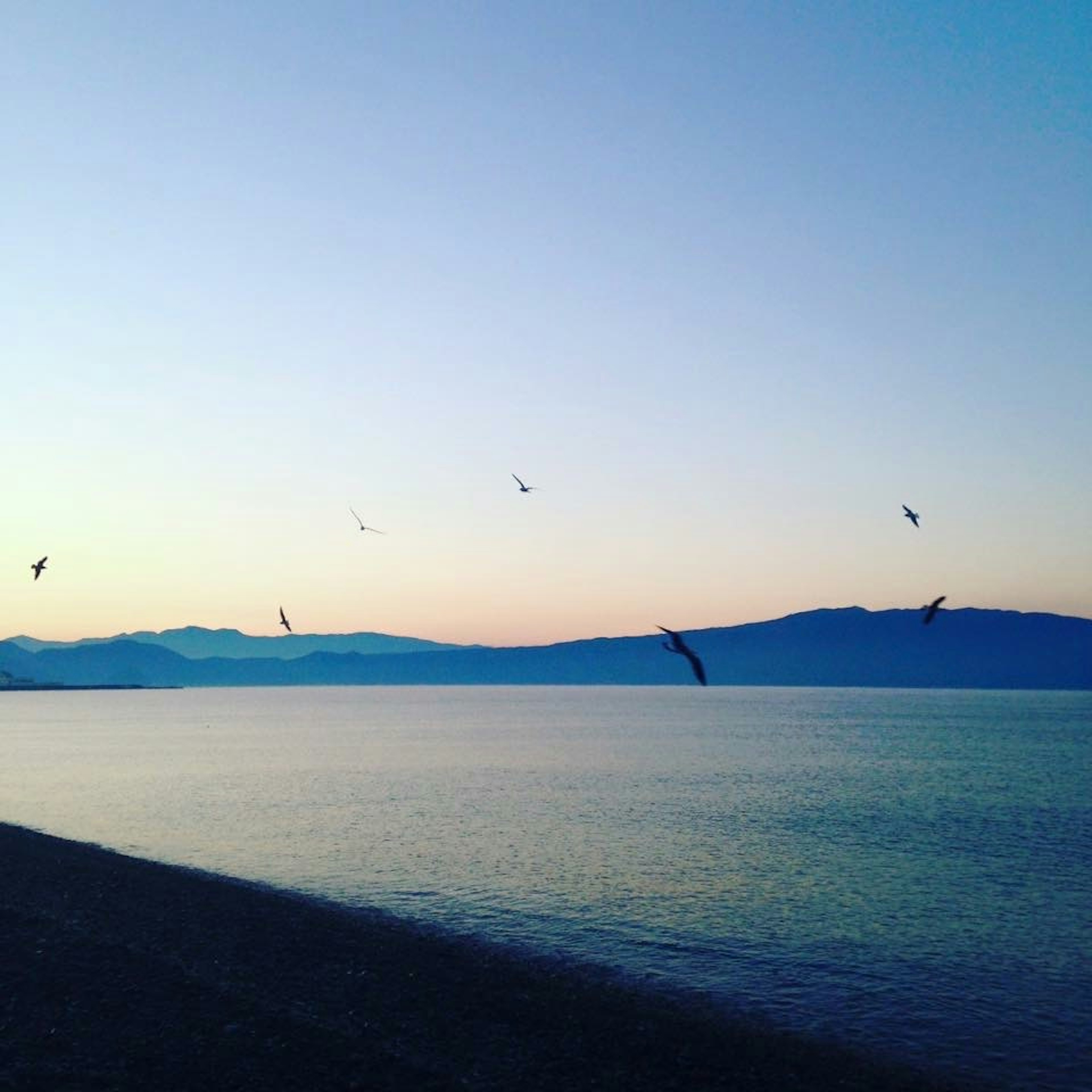 静かな海と山々の背景に飛ぶ鳥たちの美しい夕暮れの風景