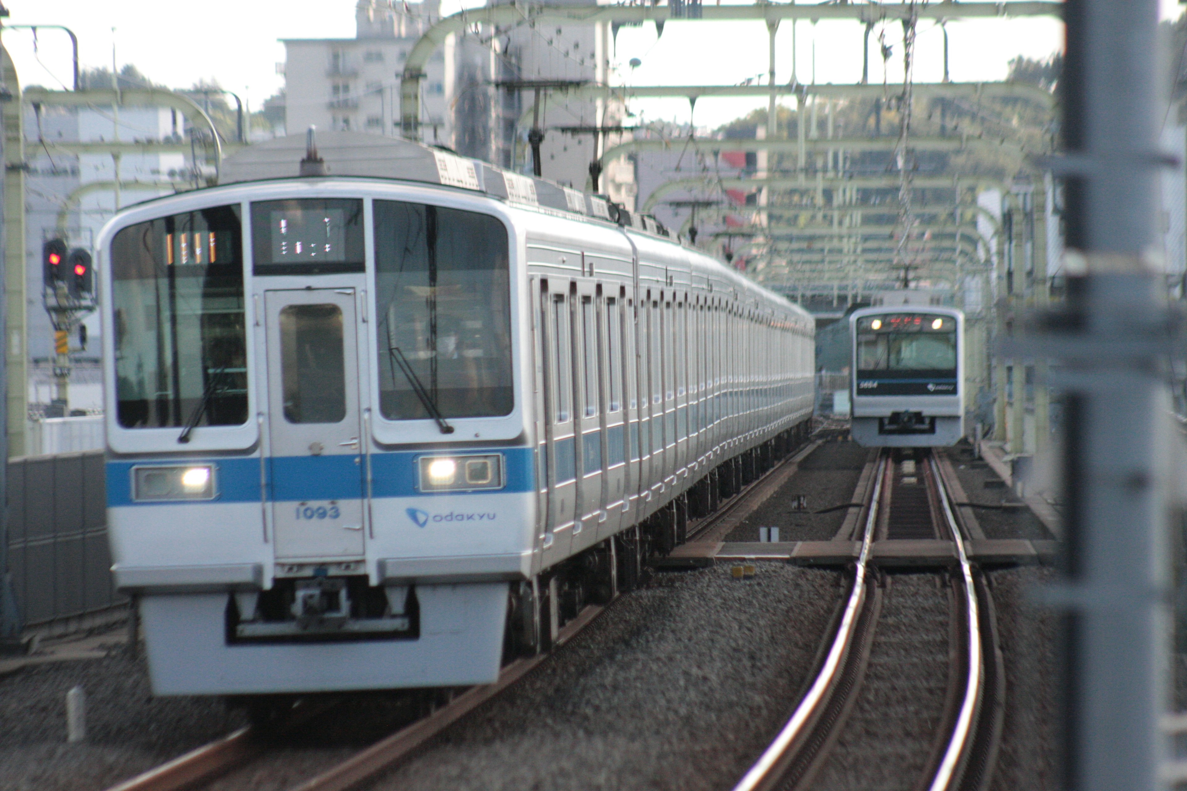 兩列藍白相間的火車在平行軌道上