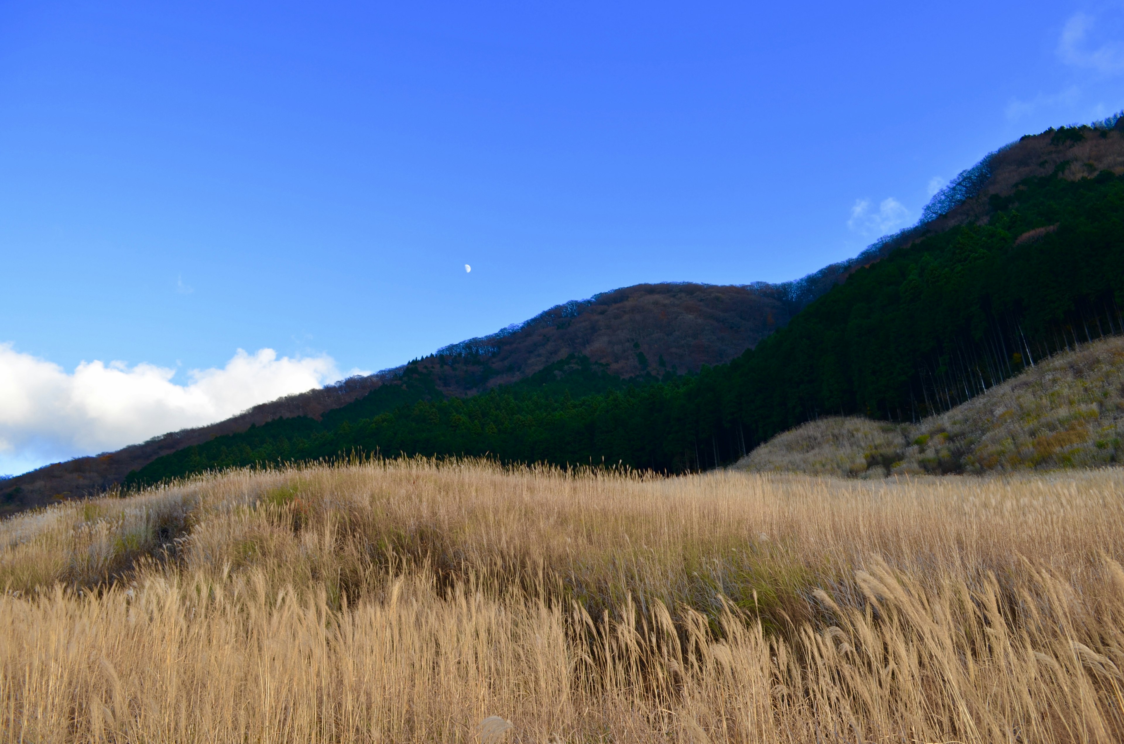 藍天下的草原和山脈風景