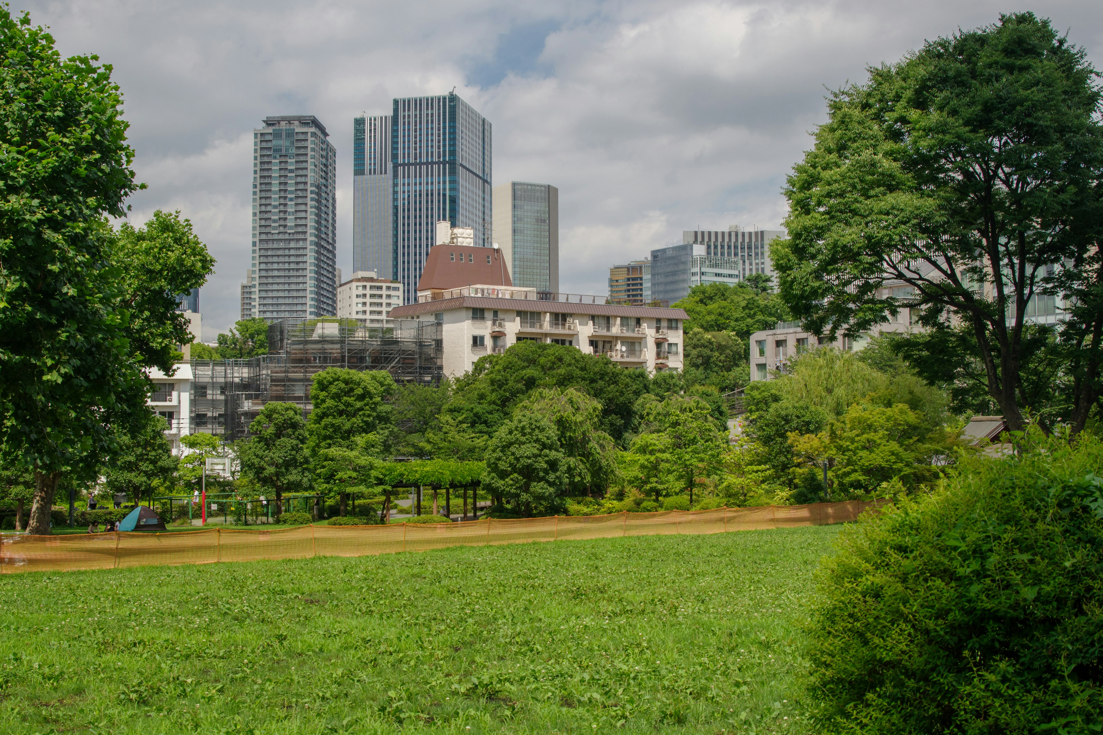 Lush green park with a backdrop of skyscrapers