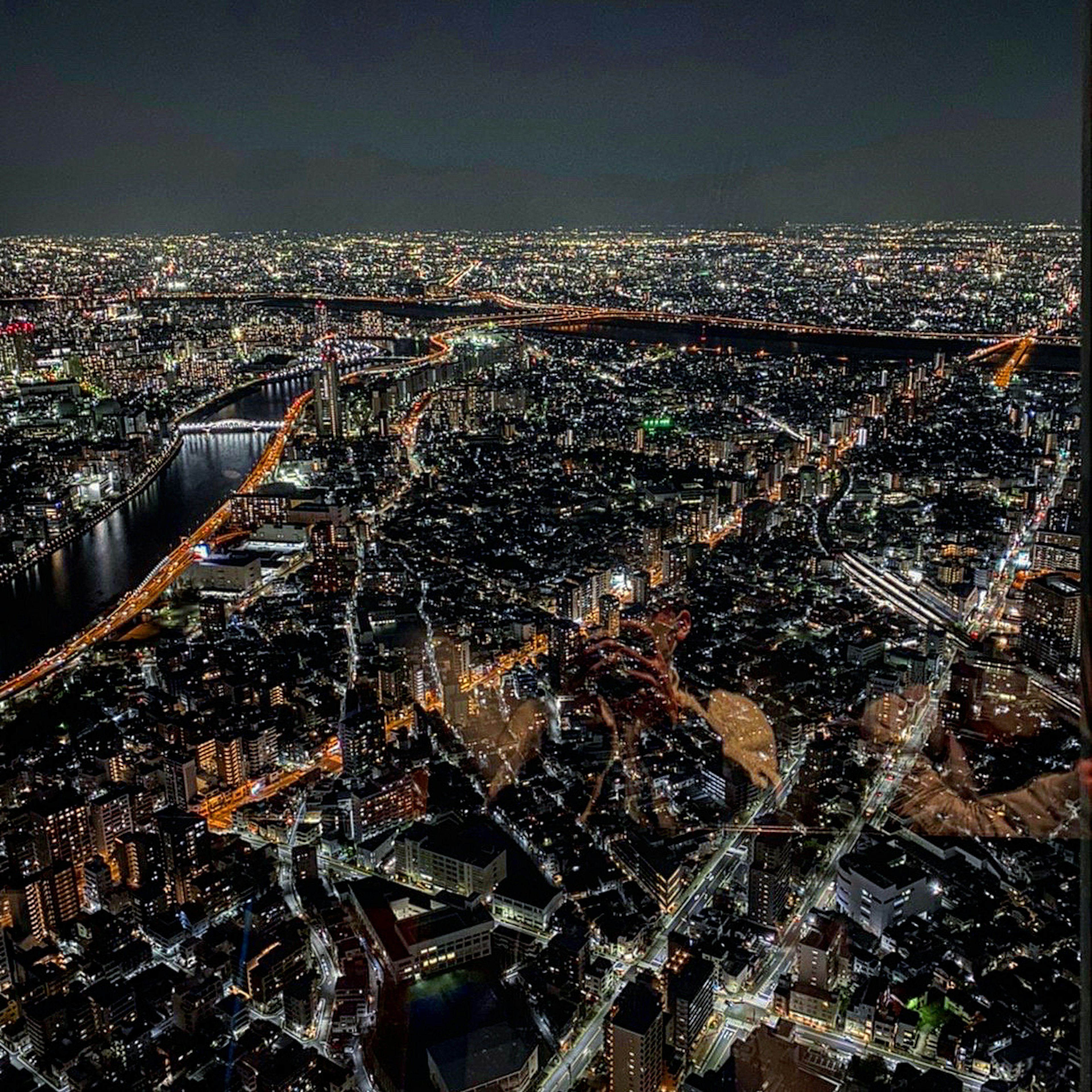 Vista nocturna del horizonte de Tokio con edificios iluminados y un río