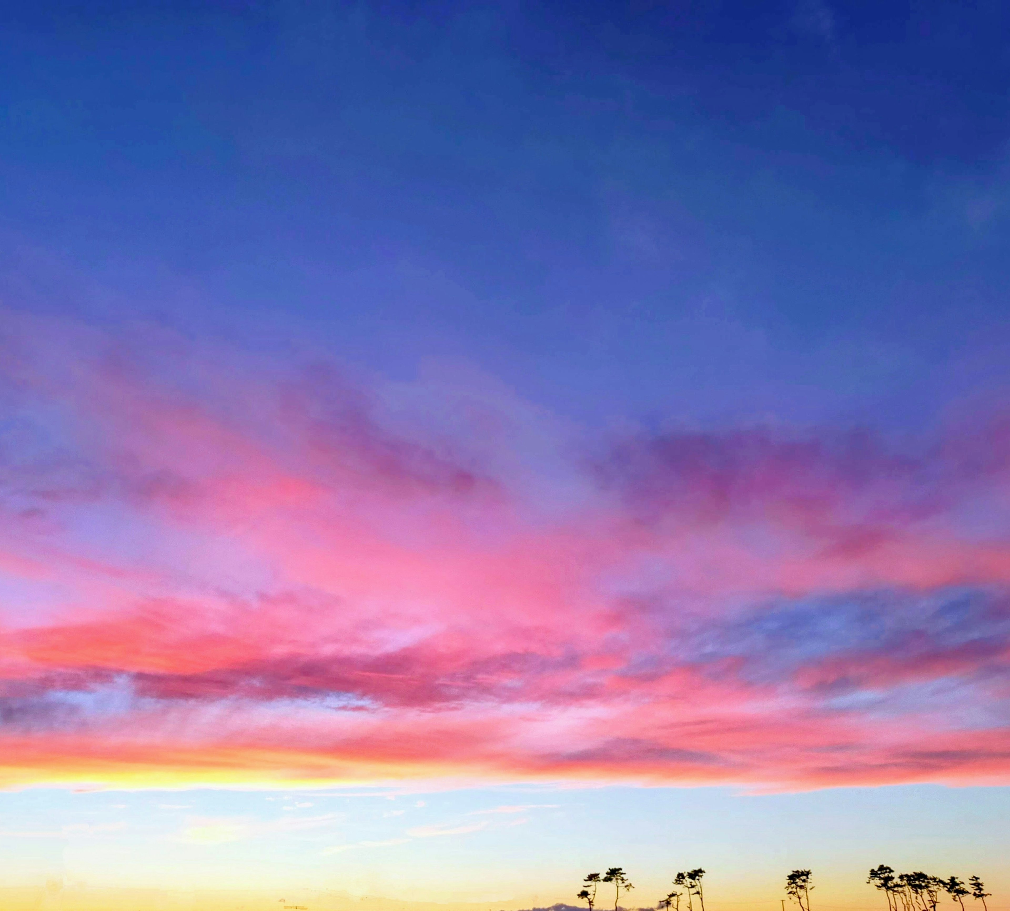 Schöner Sonnenuntergangshimmel mit lebhaftem rosa und blauem Farbverlauf