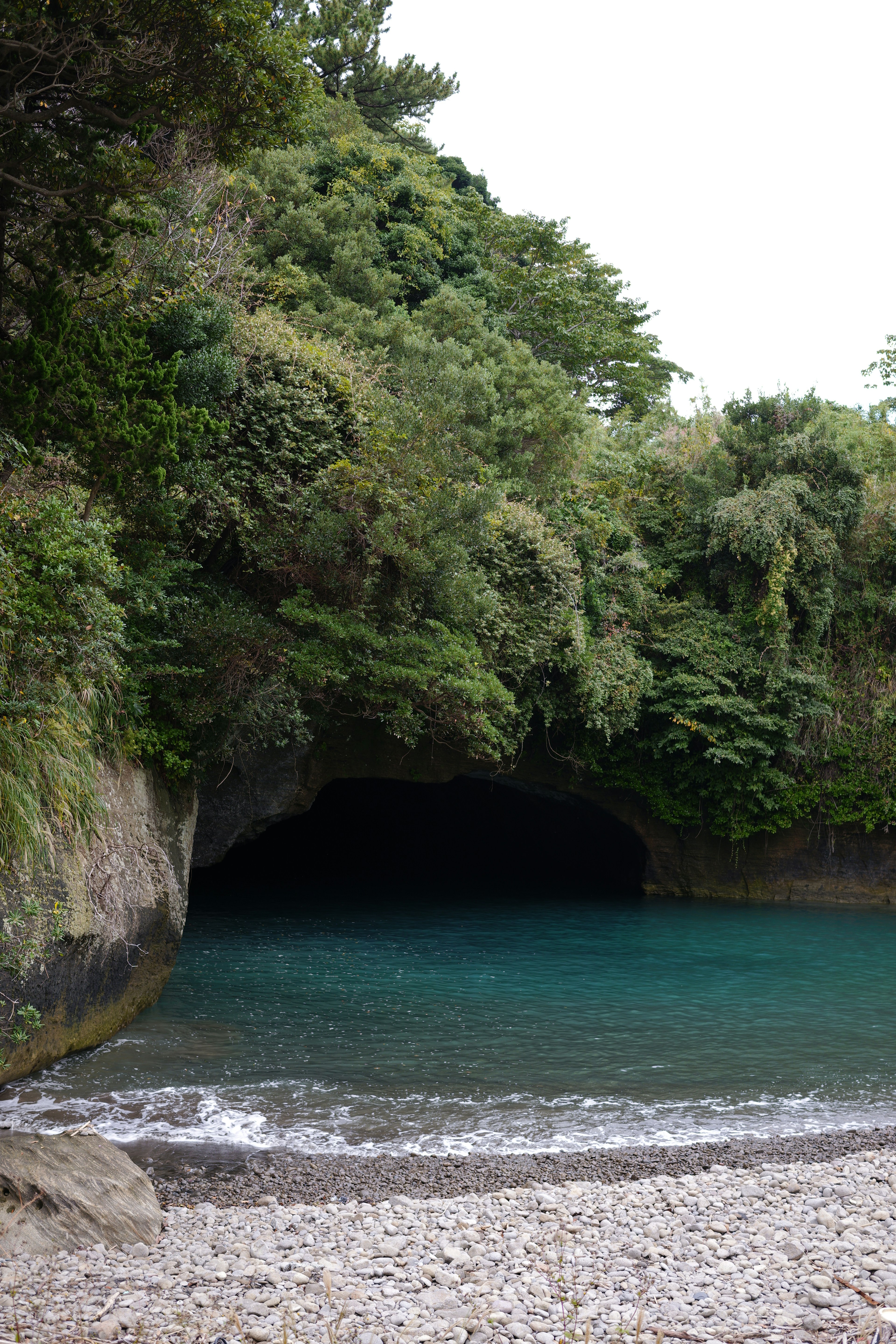 緑豊かな崖と青い水の洞窟の景色