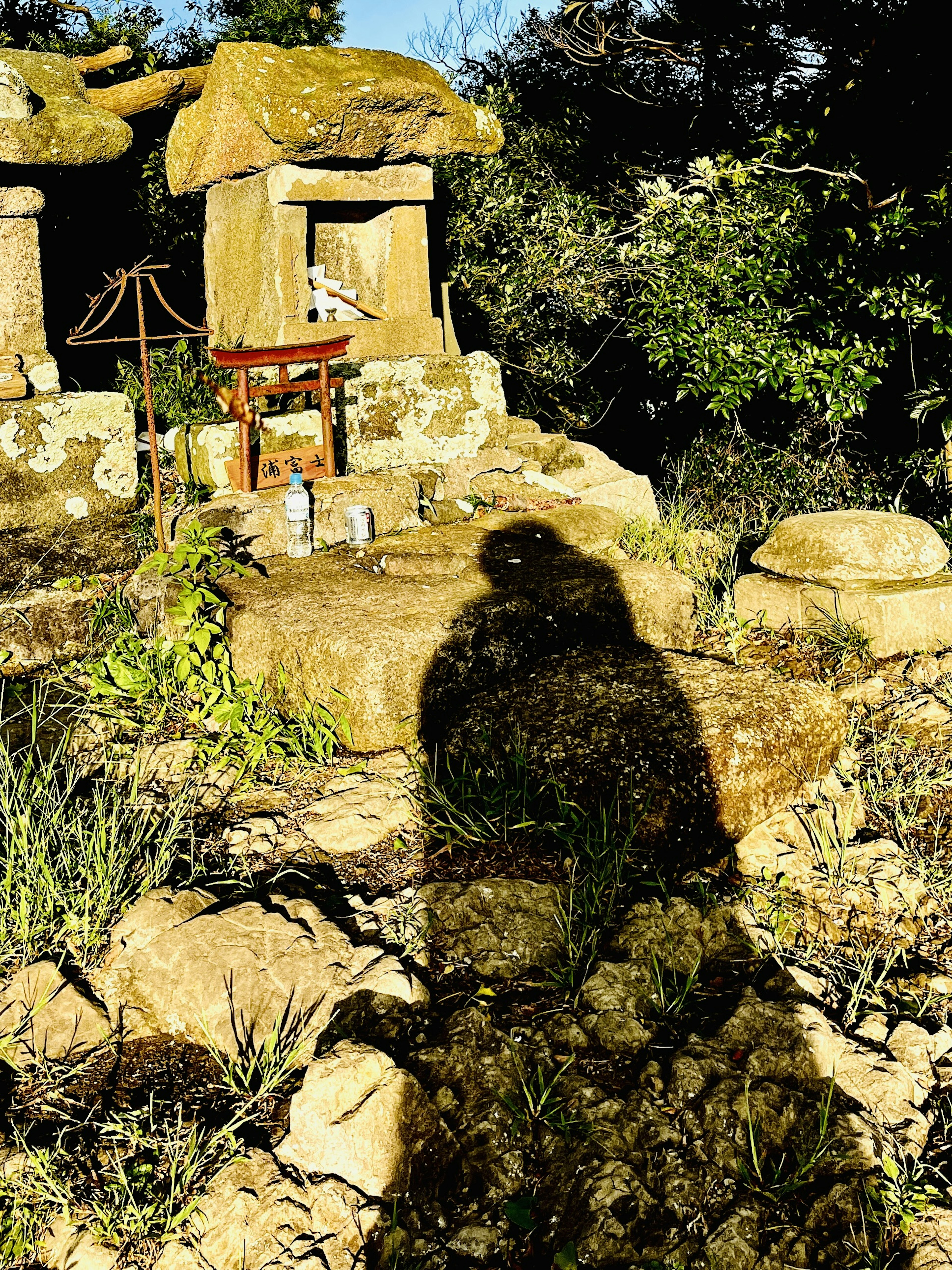 Shadow of a person cast on a stone altar surrounded by greenery