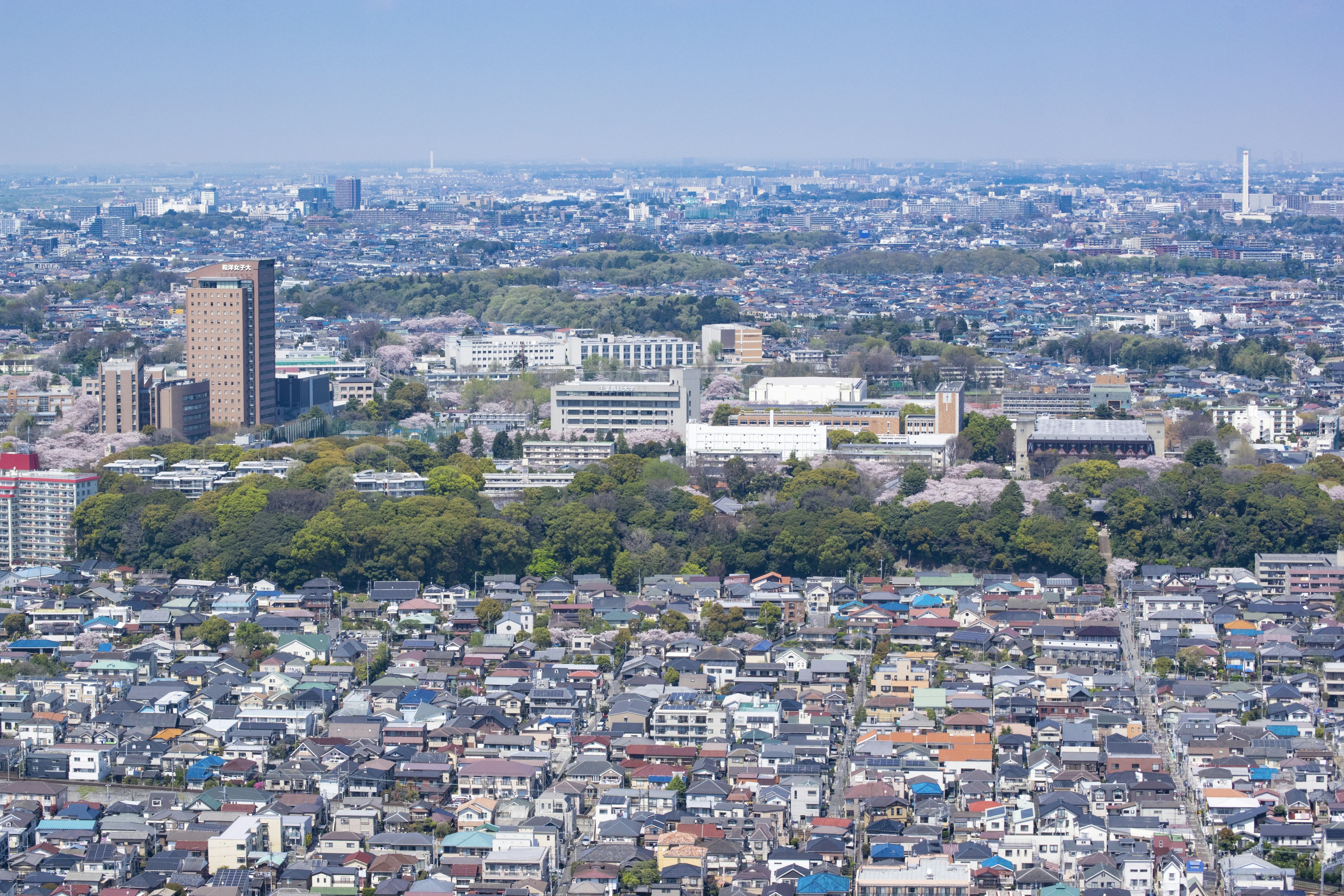 Vista panoramica di un paesaggio urbano con edifici e un parco verde