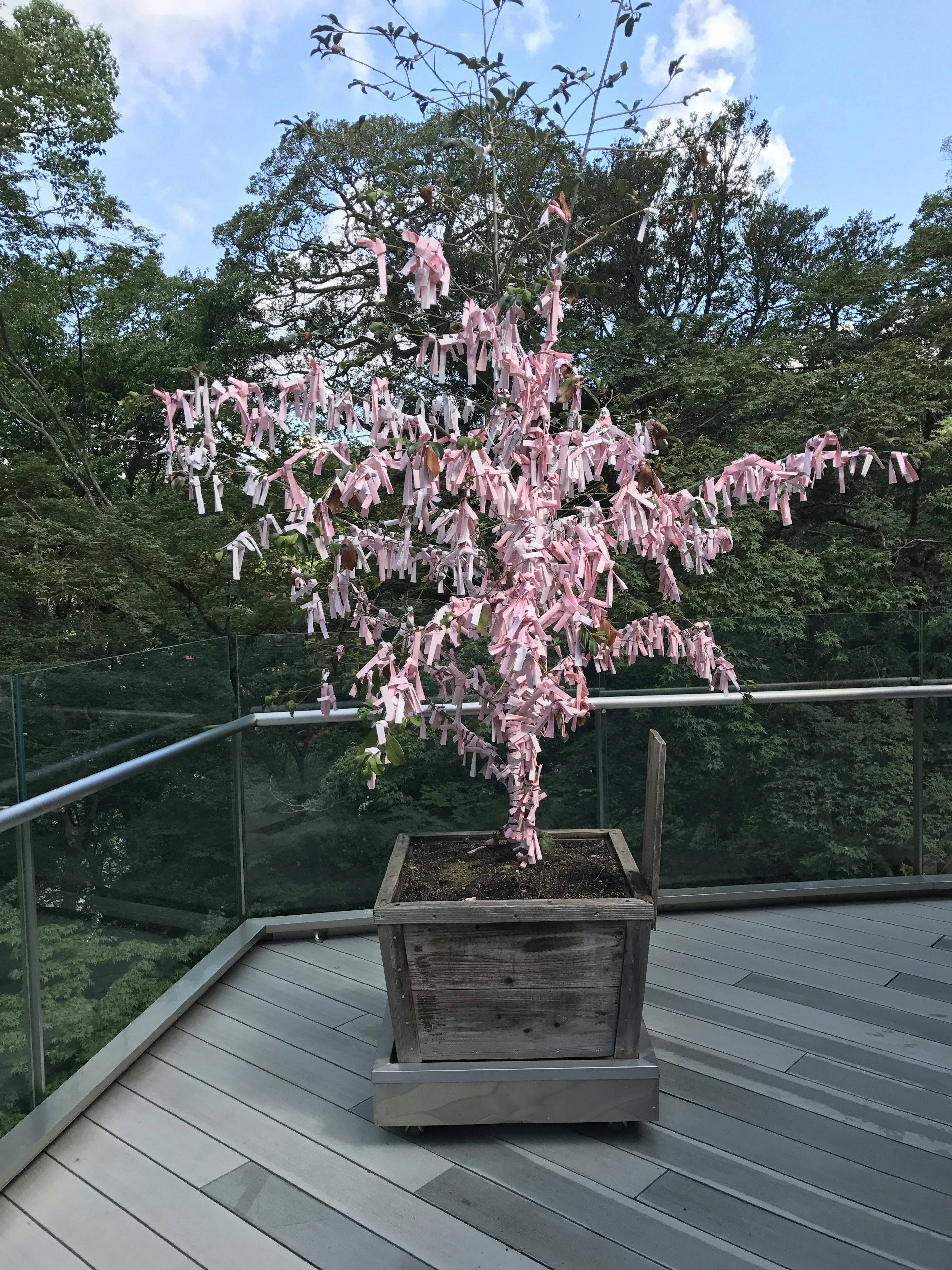 ピンクの花を咲かせた盆栽の木が屋外のテラスに置かれている