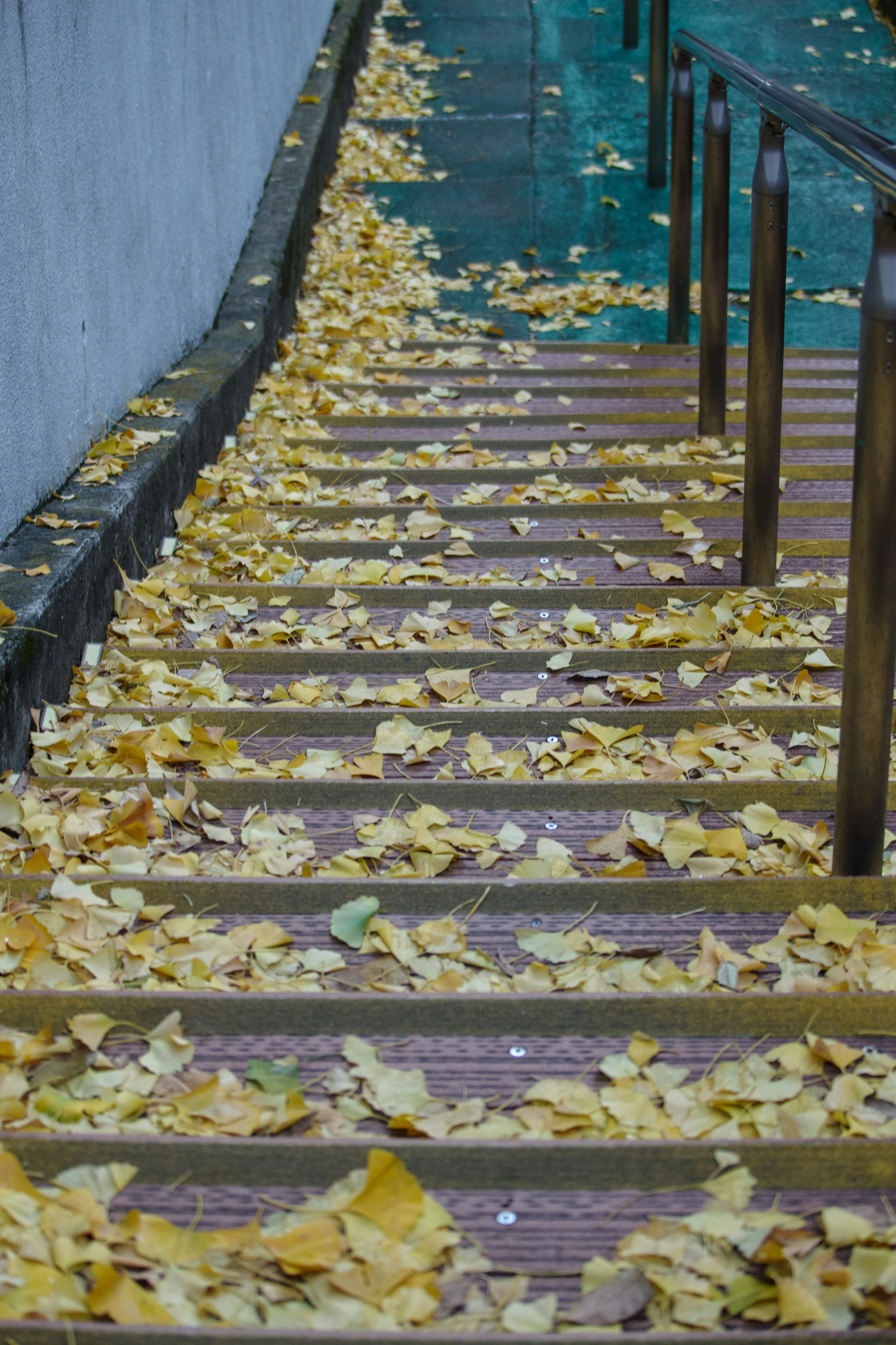 Treppen, die mit gelben Blättern bedeckt sind und einen natürlichen Teppich bilden