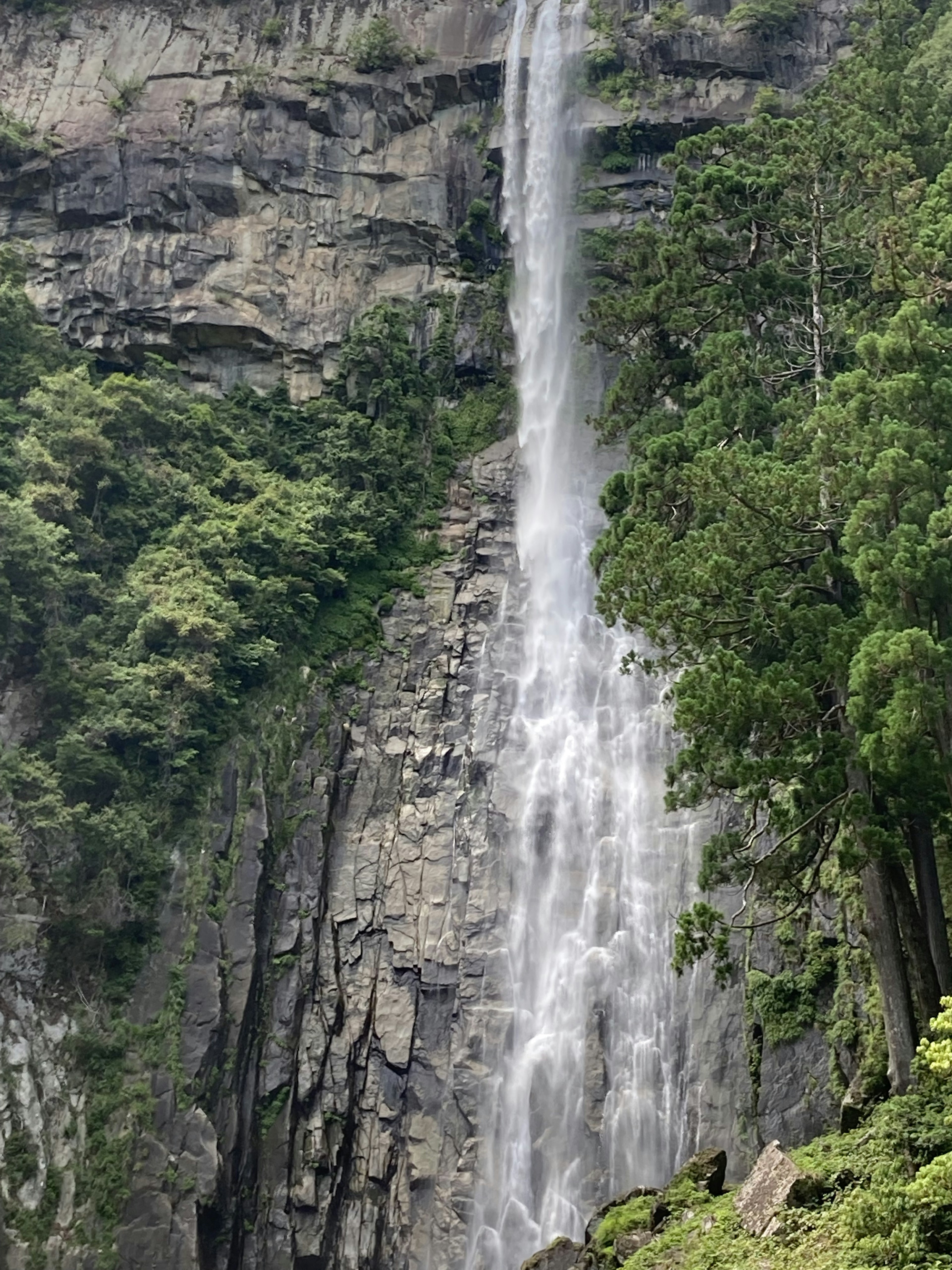 Sebuah air terjun mengalir dari tebing berbatu dikelilingi oleh pepohonan hijau yang rimbun