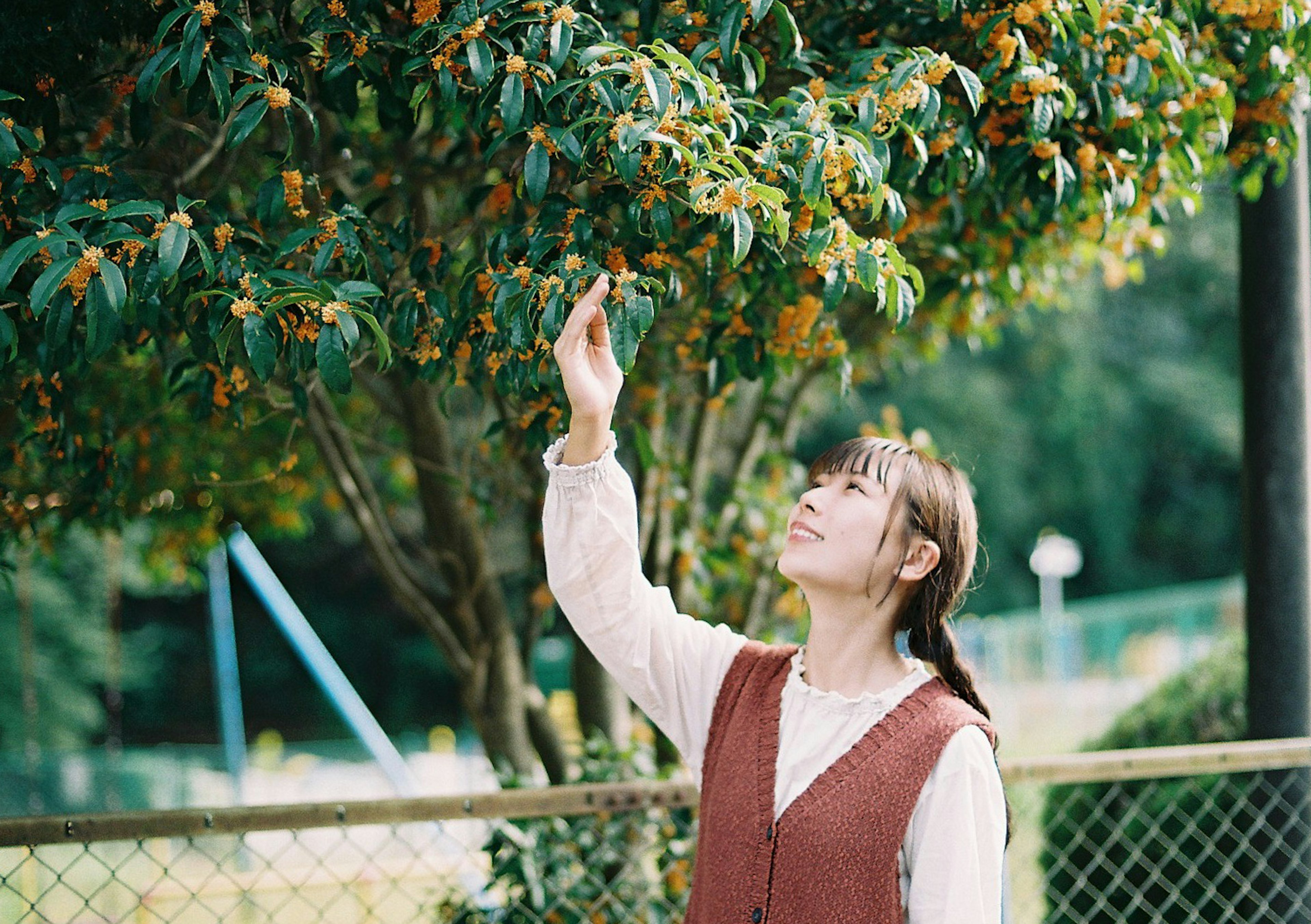 Woman reaching for fruit on a tree in a natural setting