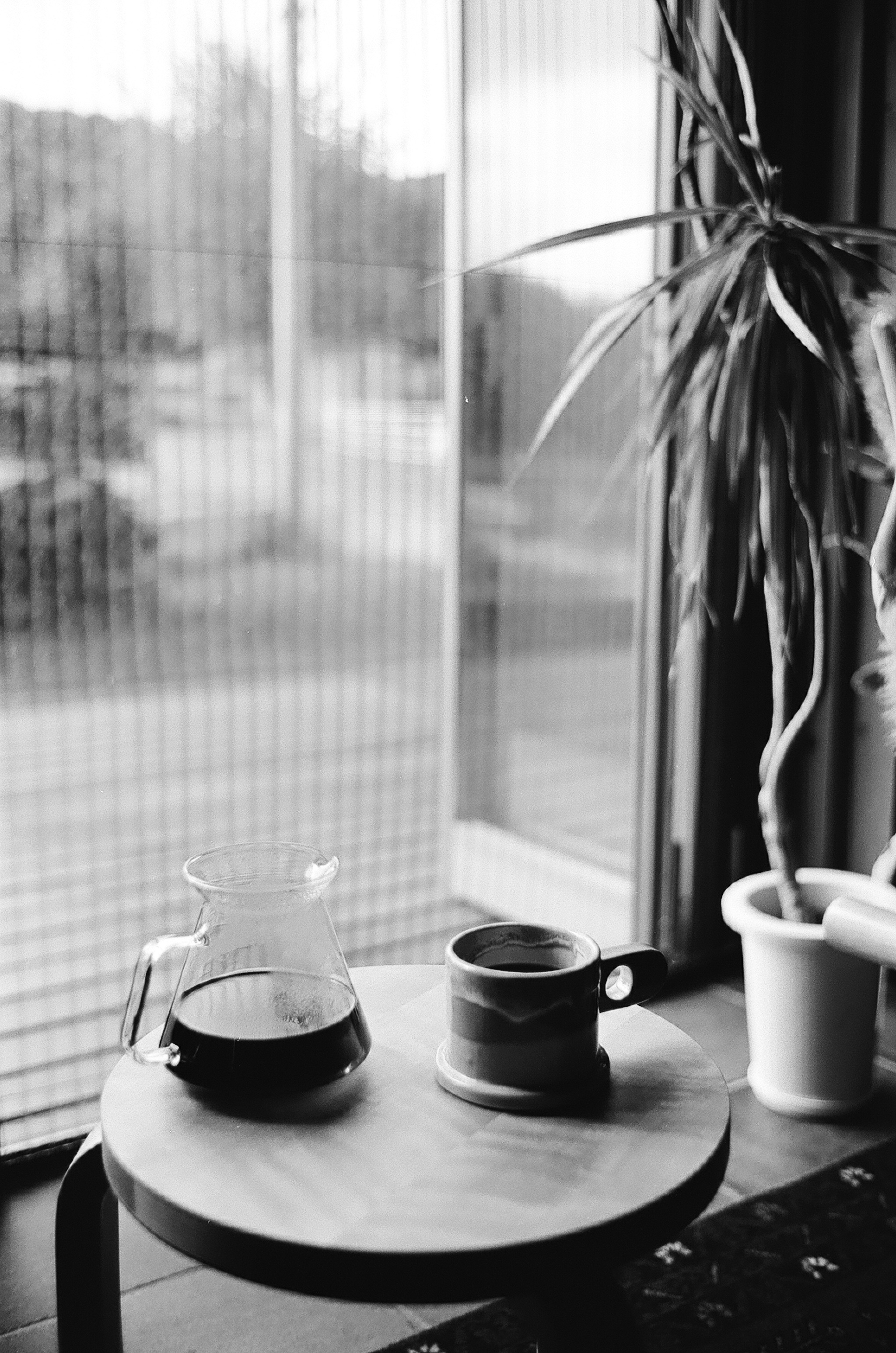 Foto en blanco y negro de herramientas de café y una planta de interior junto a la ventana