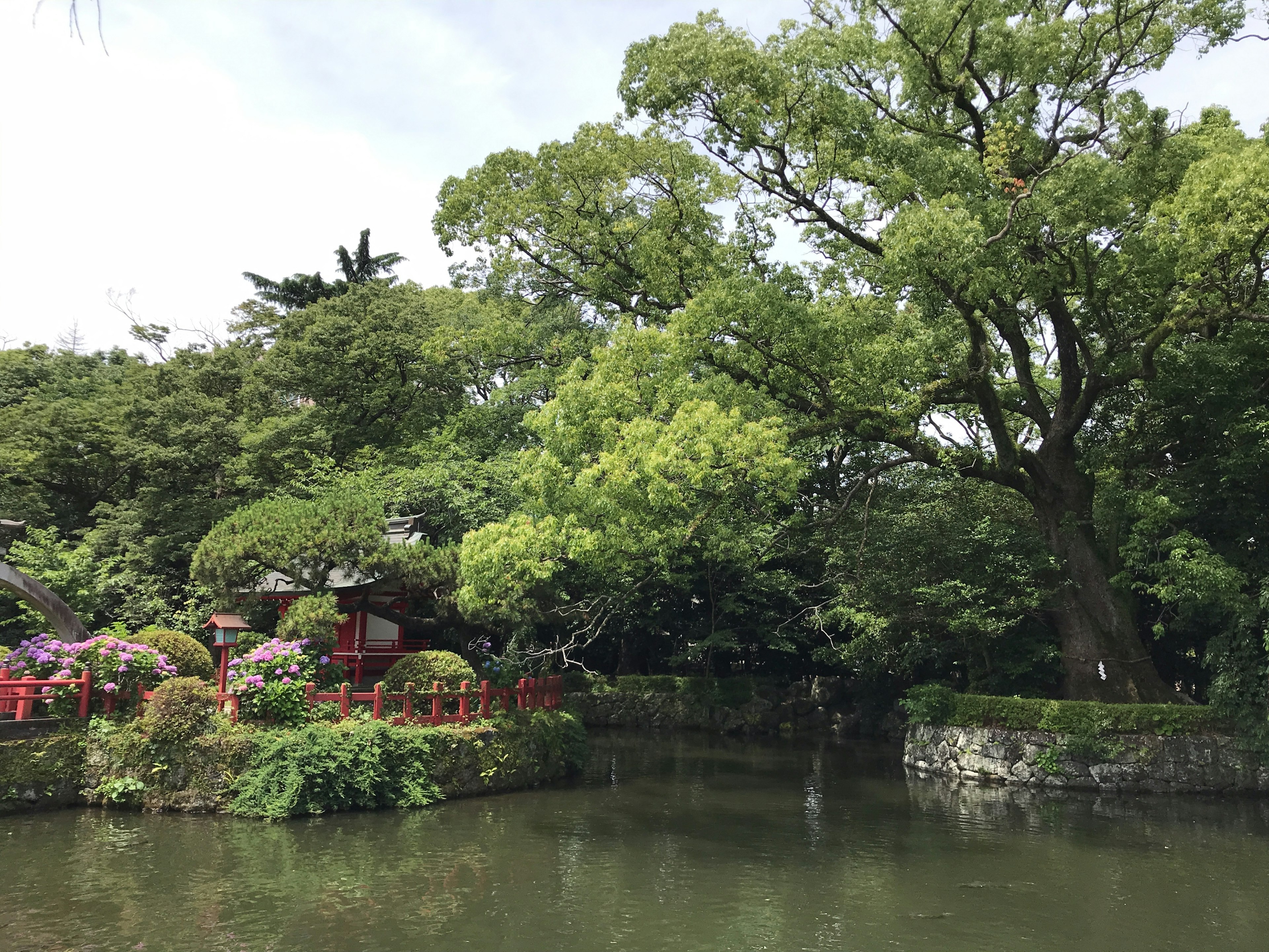 静かな池の周りに緑豊かな木々と花が咲く景色