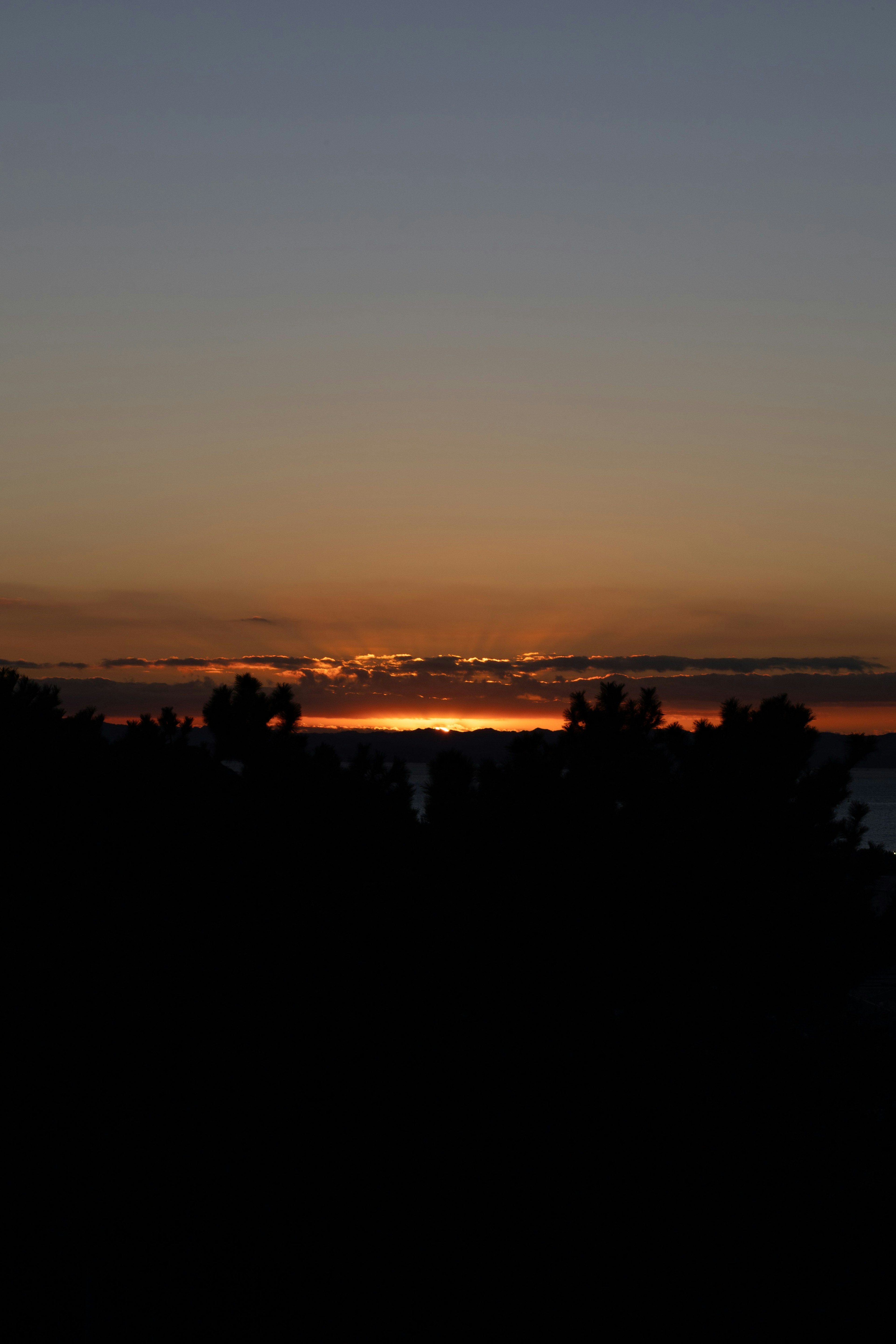 夕焼けの海とシルエットの木々の風景