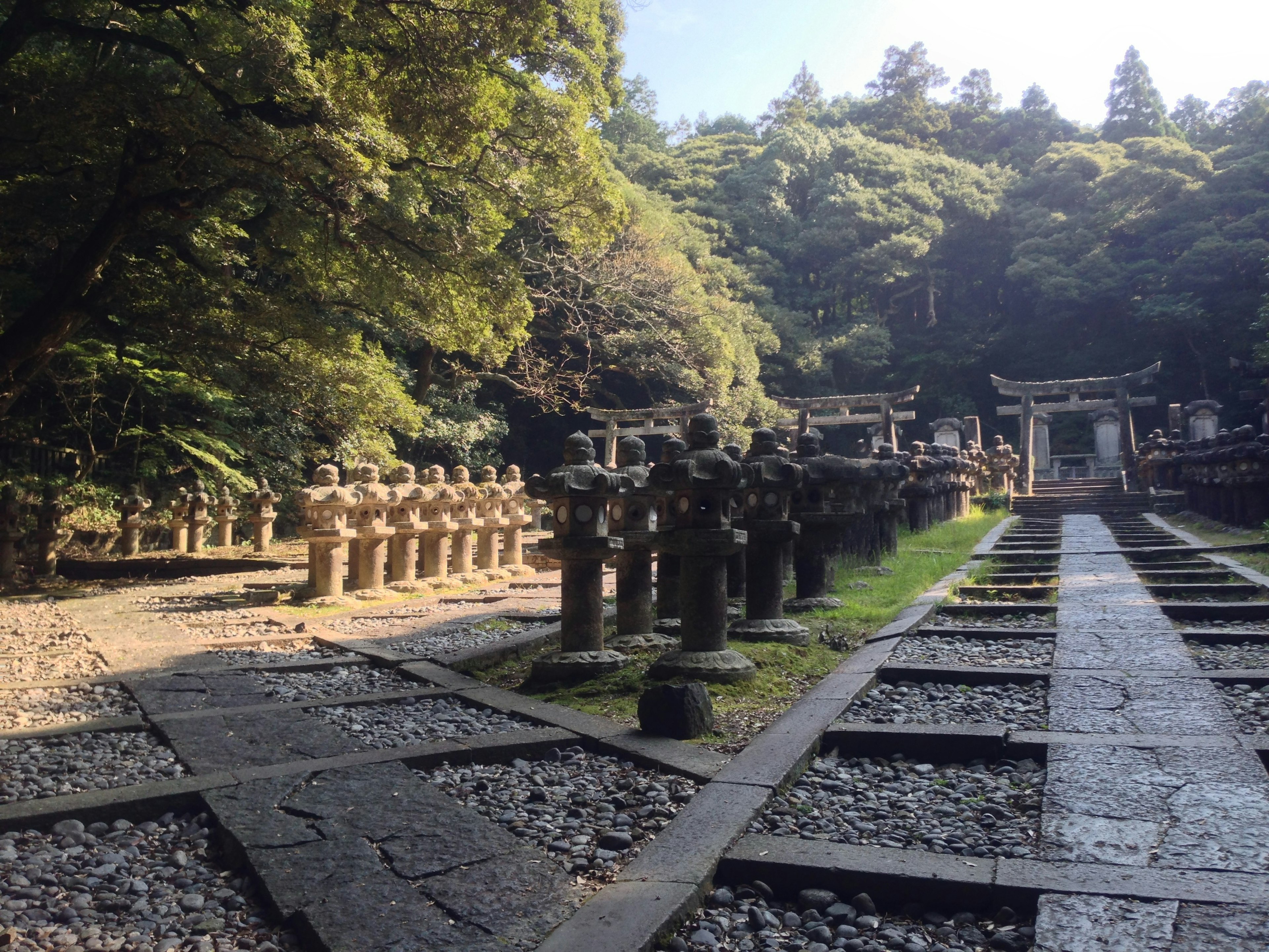 周围环绕着绿树的神社中排列的石灯笼的风景