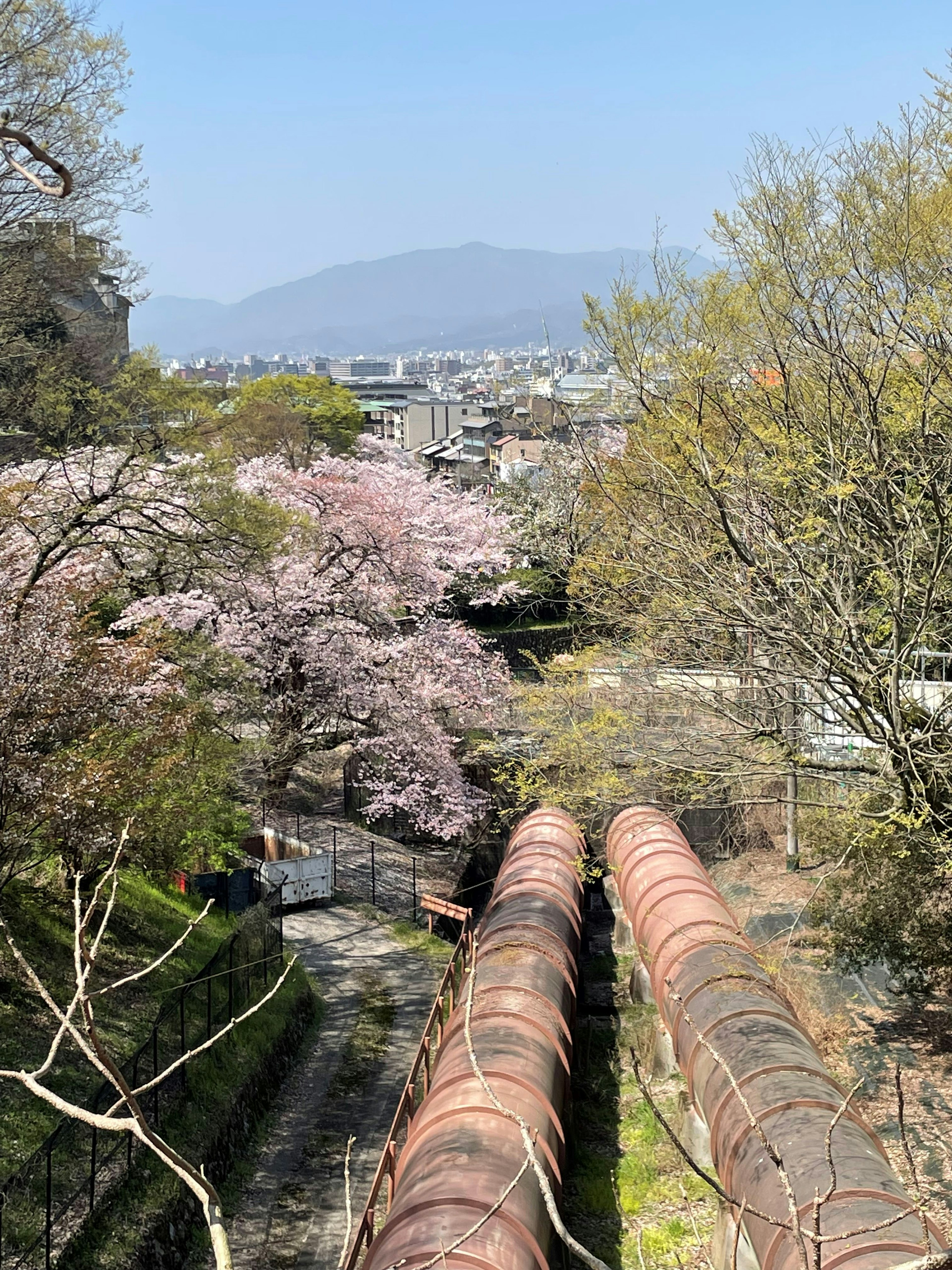 Scenic view featuring cherry blossom trees and greenery with copper pipes in the foreground and mountains in the background