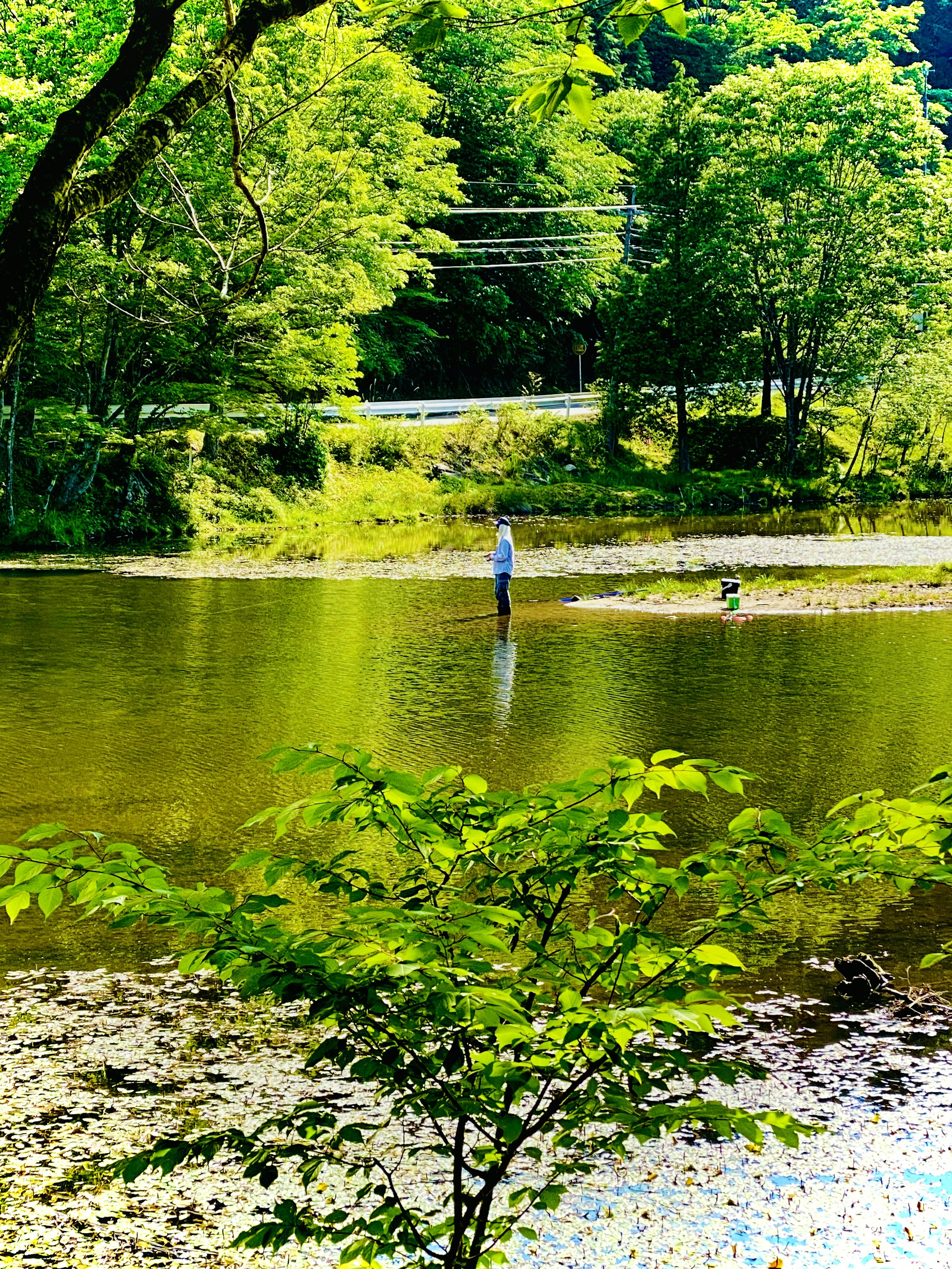 Persona pescando en un río tranquilo rodeado de vegetación exuberante