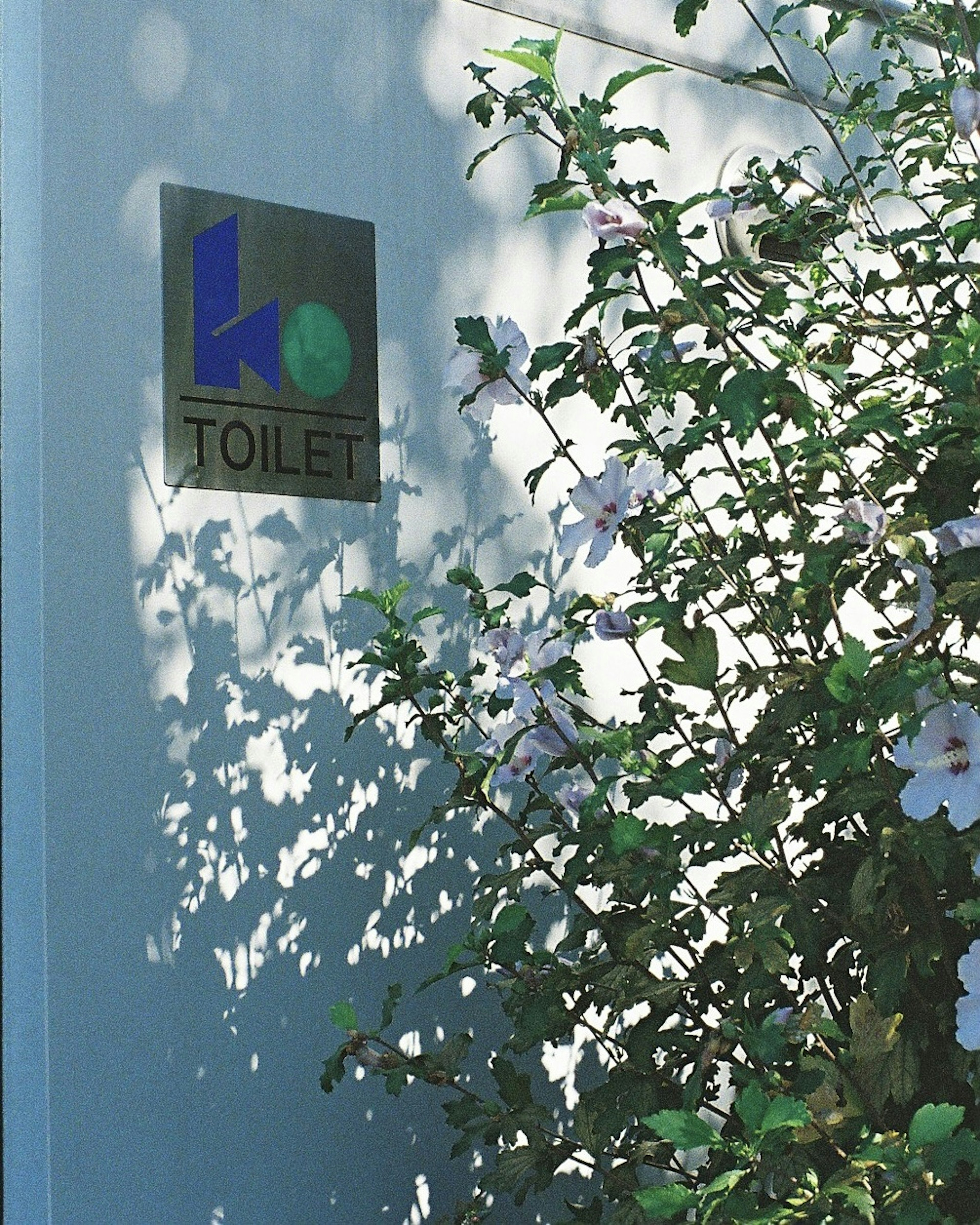 トイレのサインがある壁と緑の植物の写真