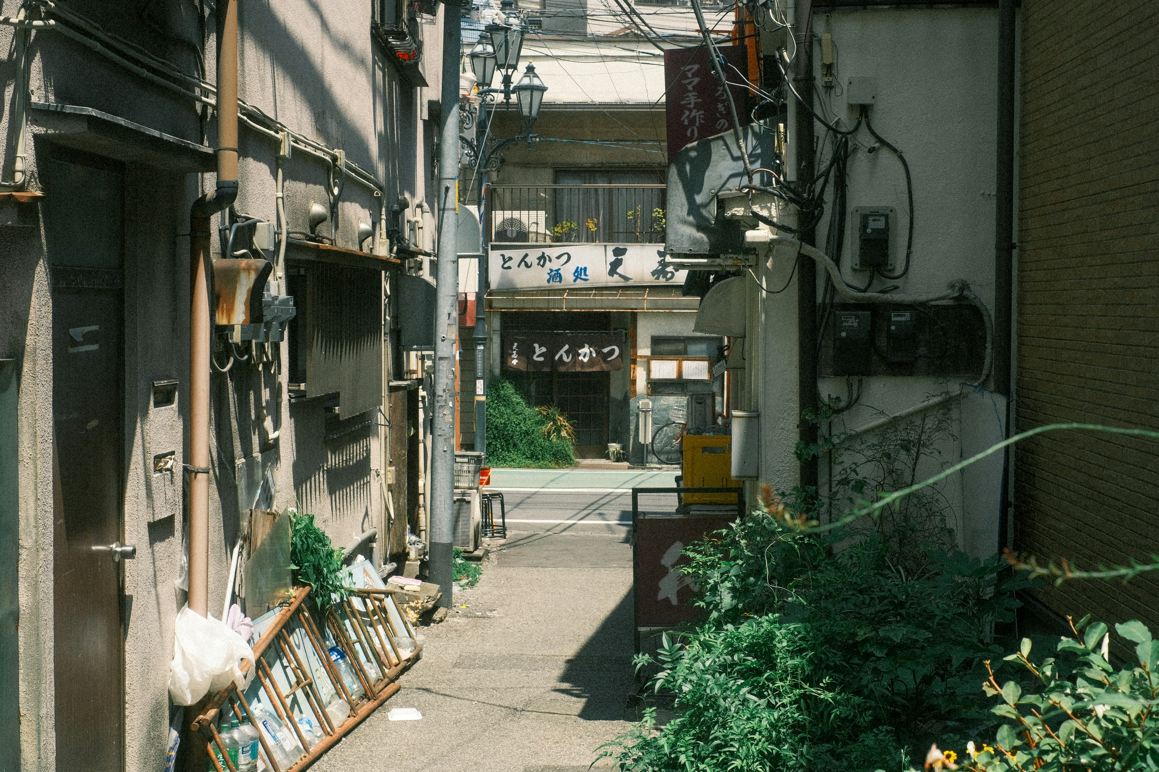 狭い路地に沿った古い建物と植物の配置