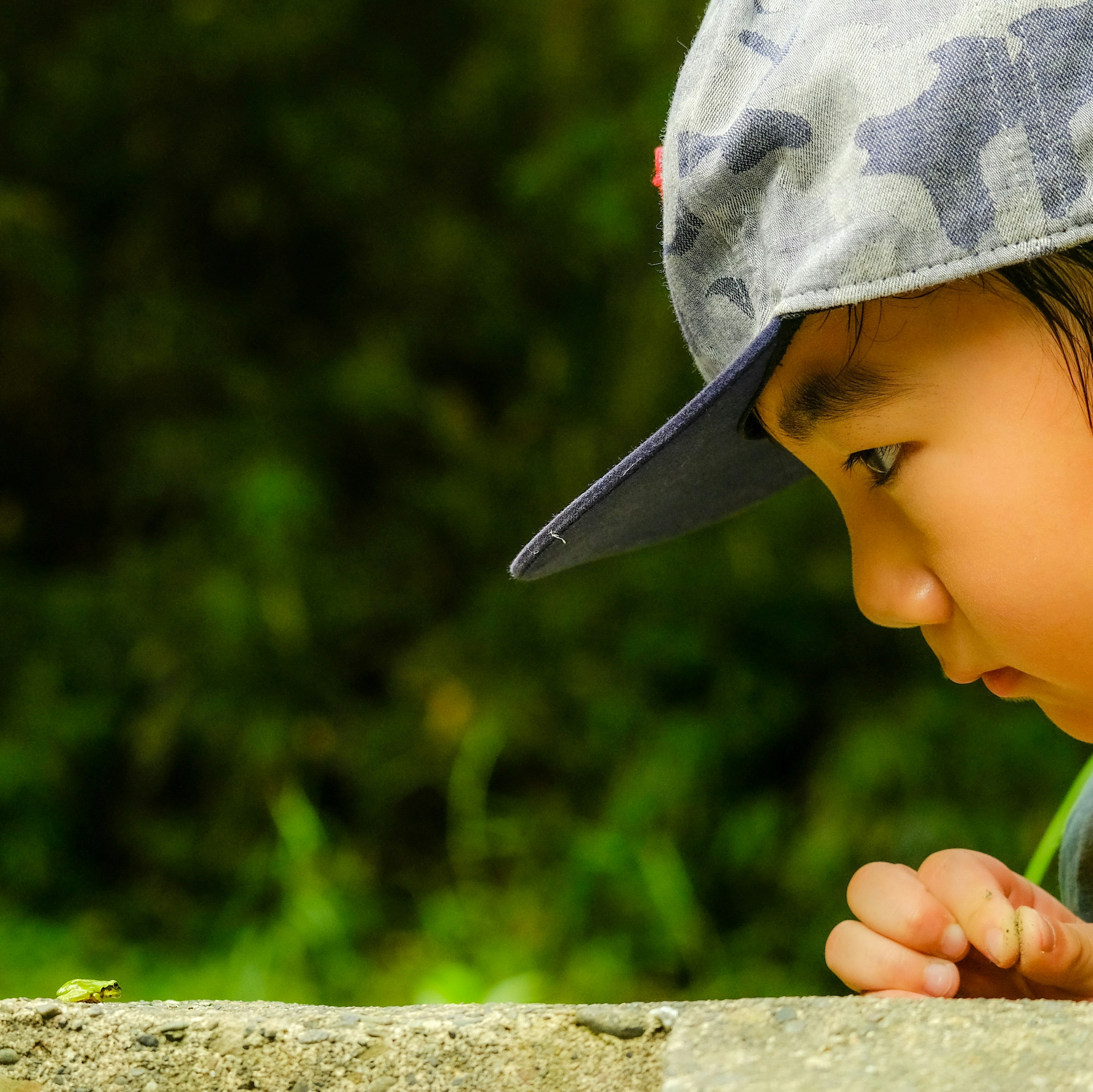 A child wearing a cap closely observing a small creature on a stone