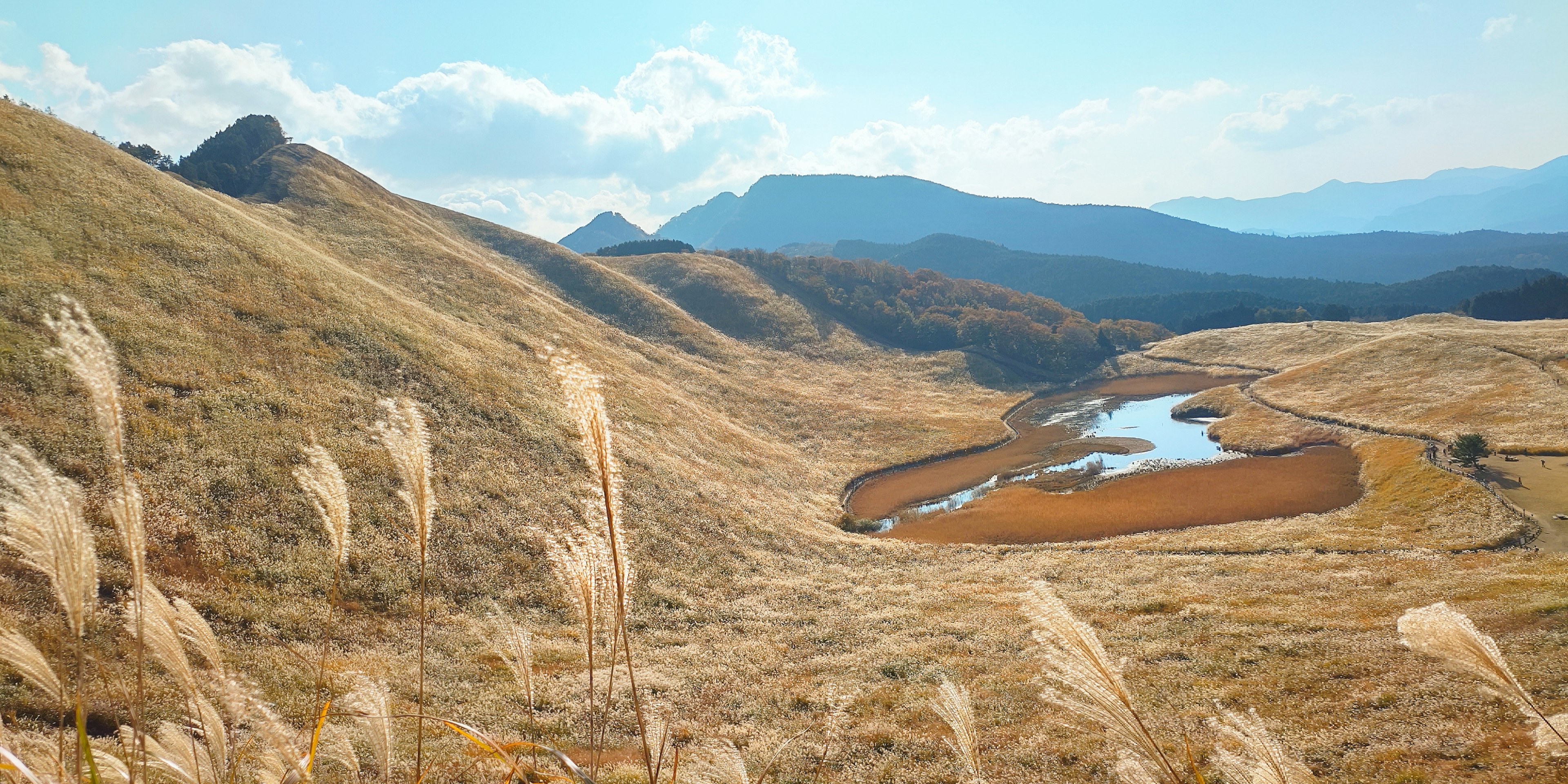 Serene landscape with a winding river and golden grassland