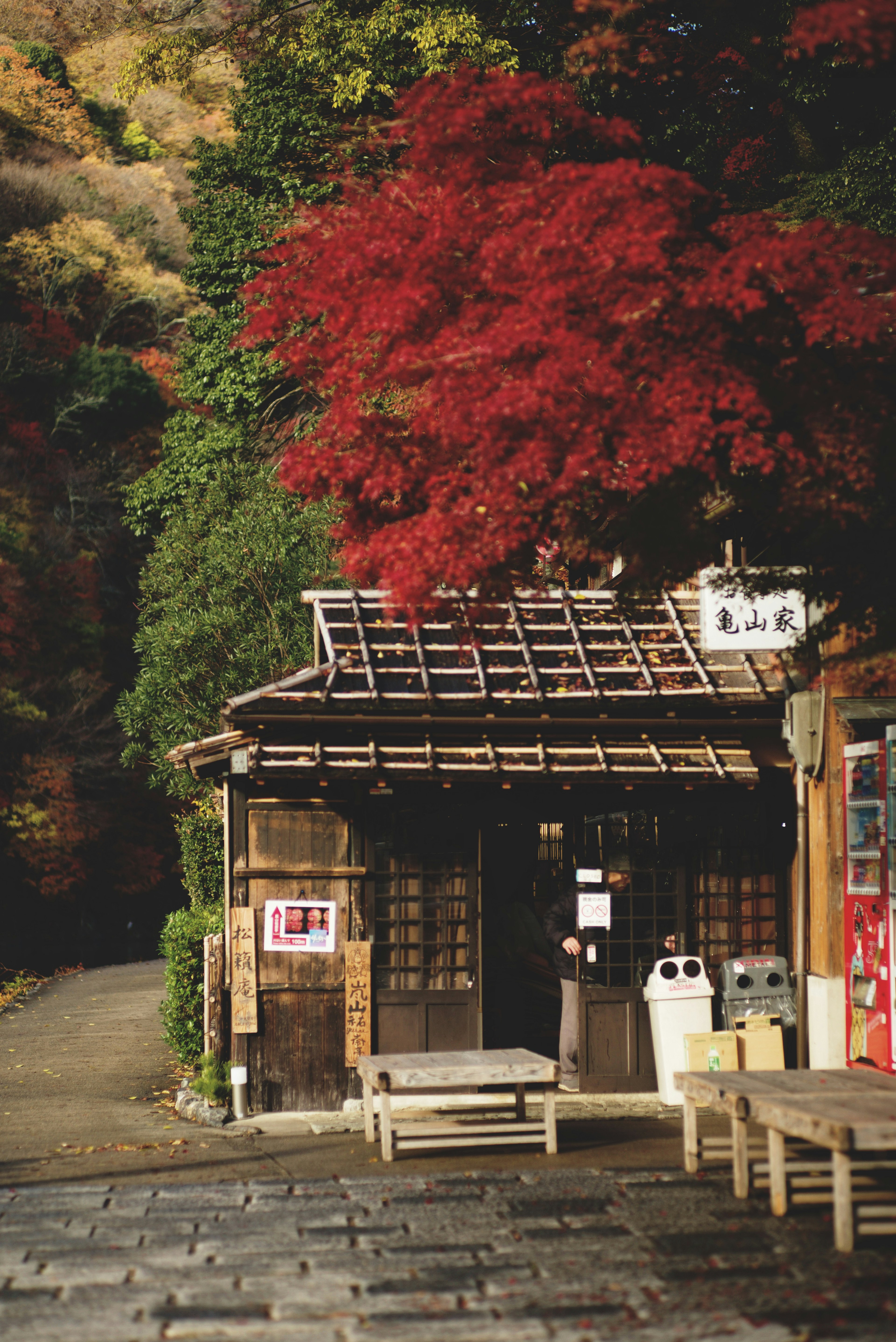 Traditional Japanese building with striking red maple leaves