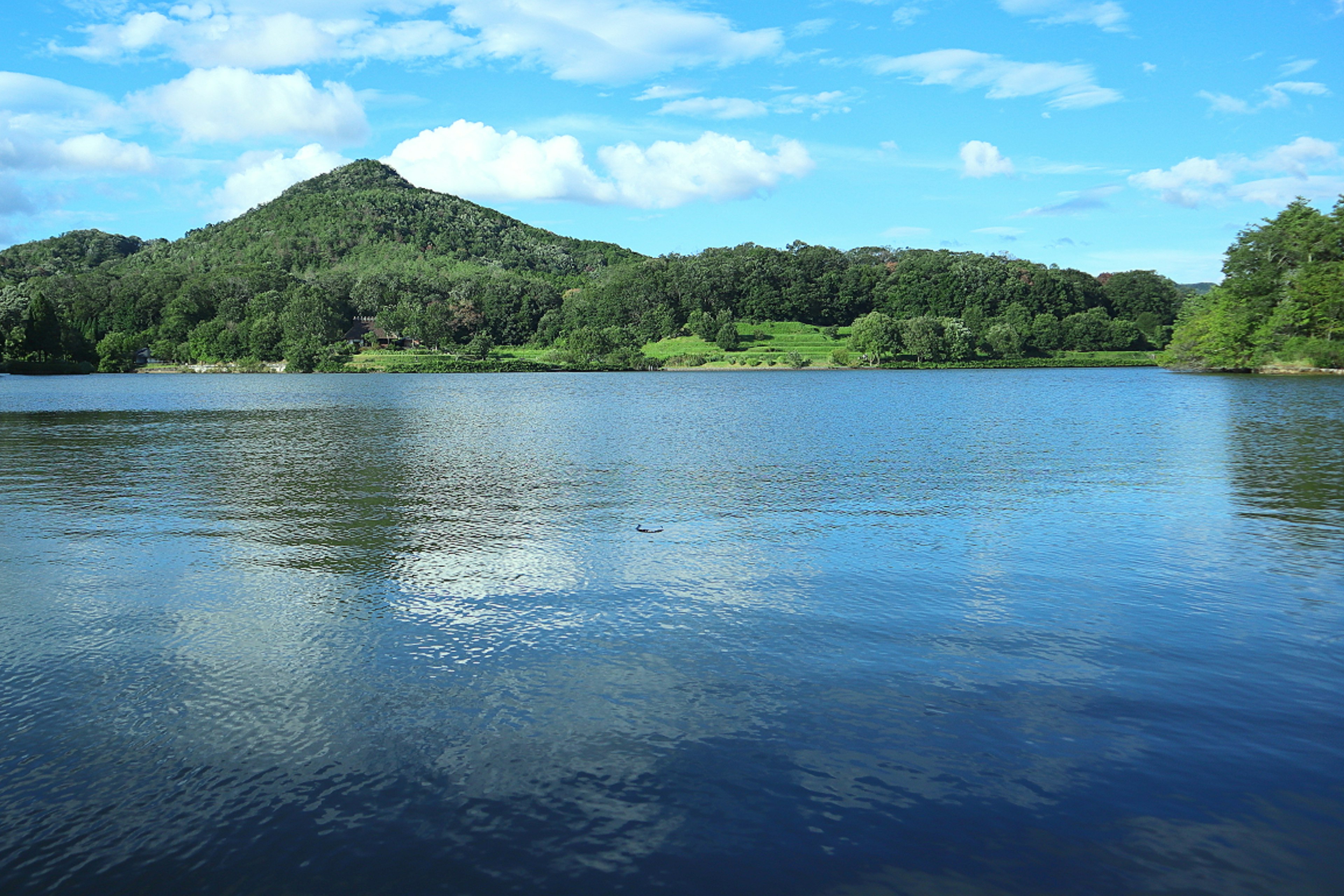 Ruhiger See umgeben von grünen Hügeln und blauem Himmel