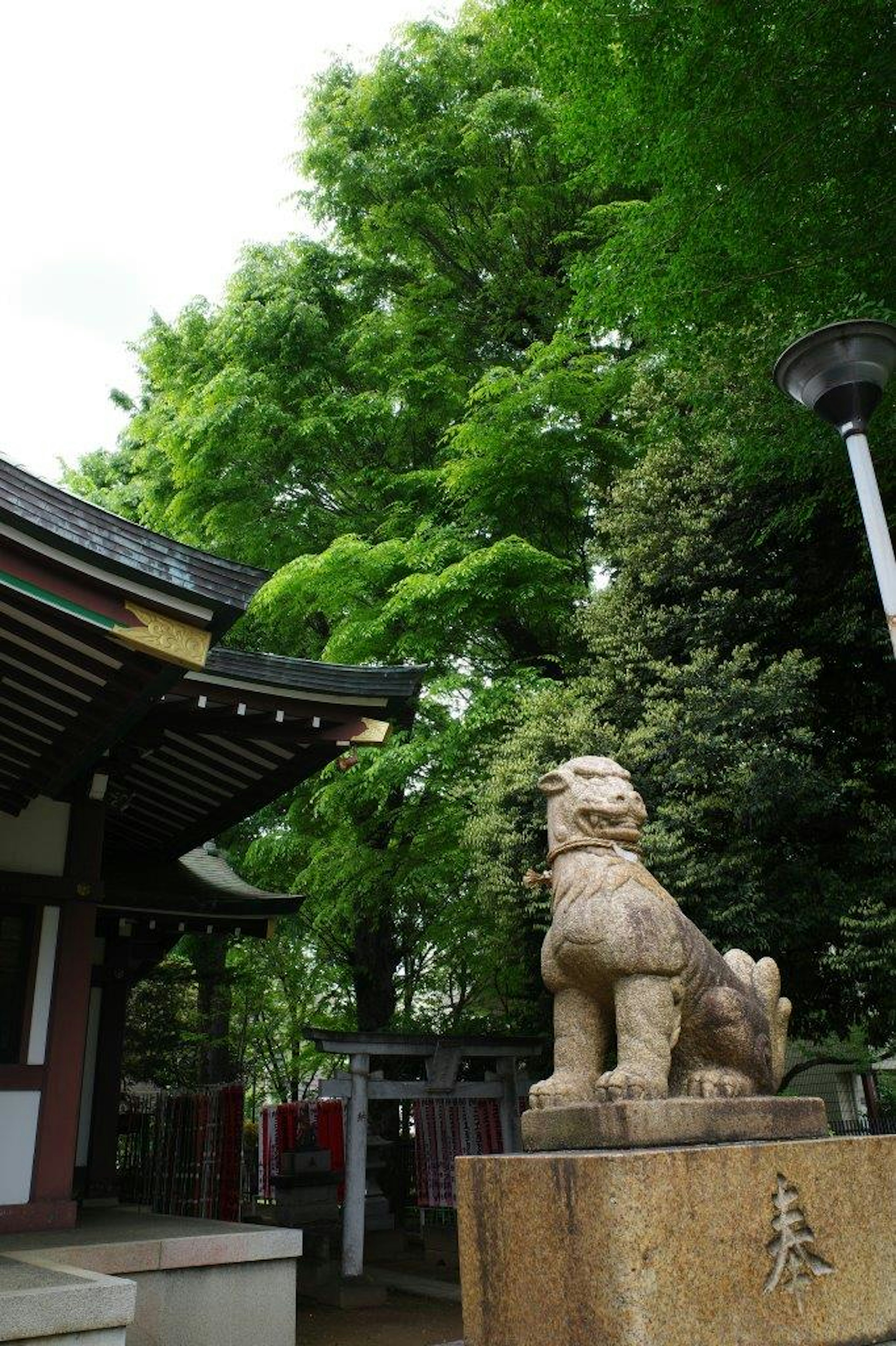 Estatua de piedra de un komainu en un santuario con vegetación exuberante