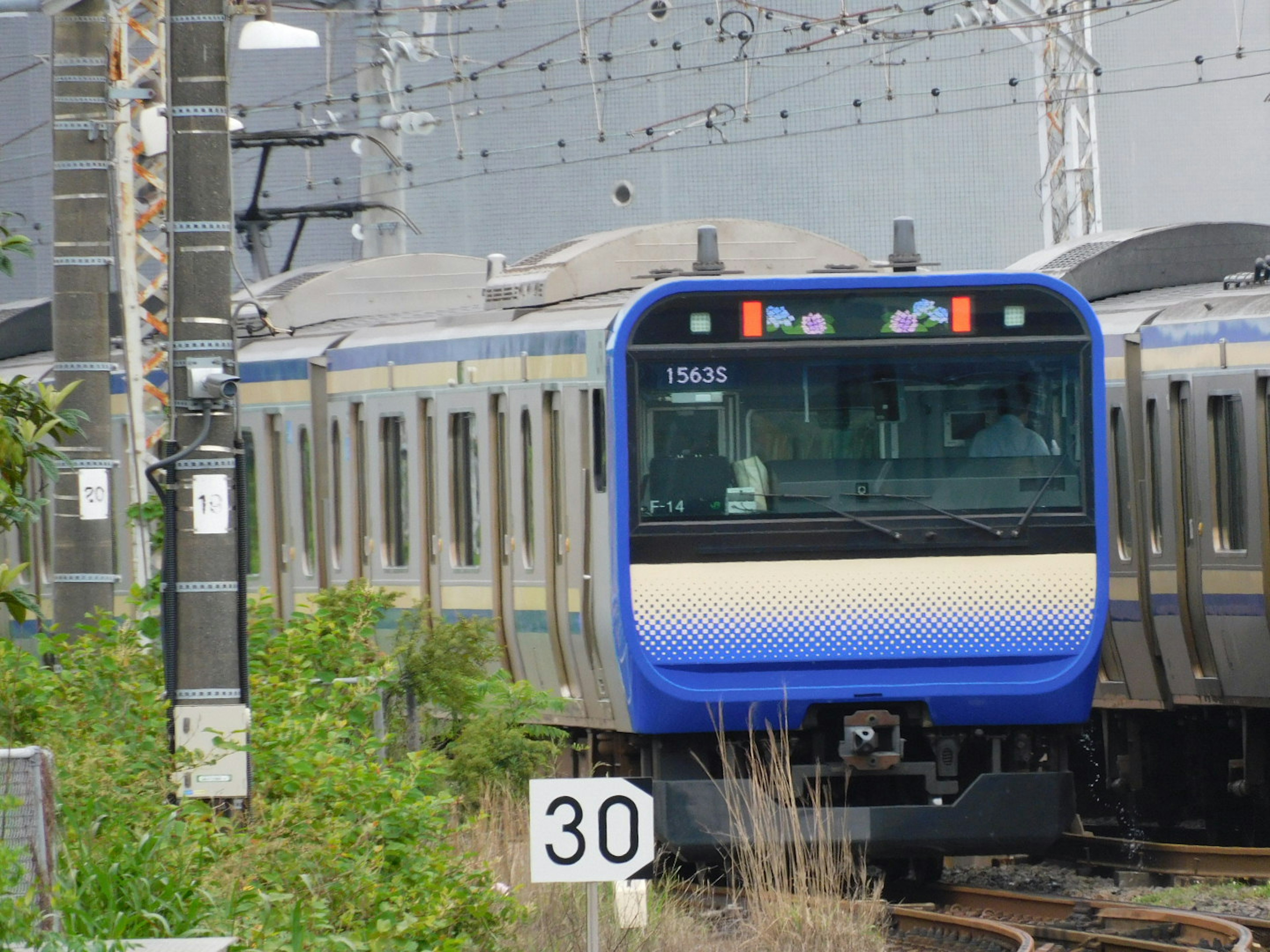 Blue train on tracks with a 30 speed limit sign