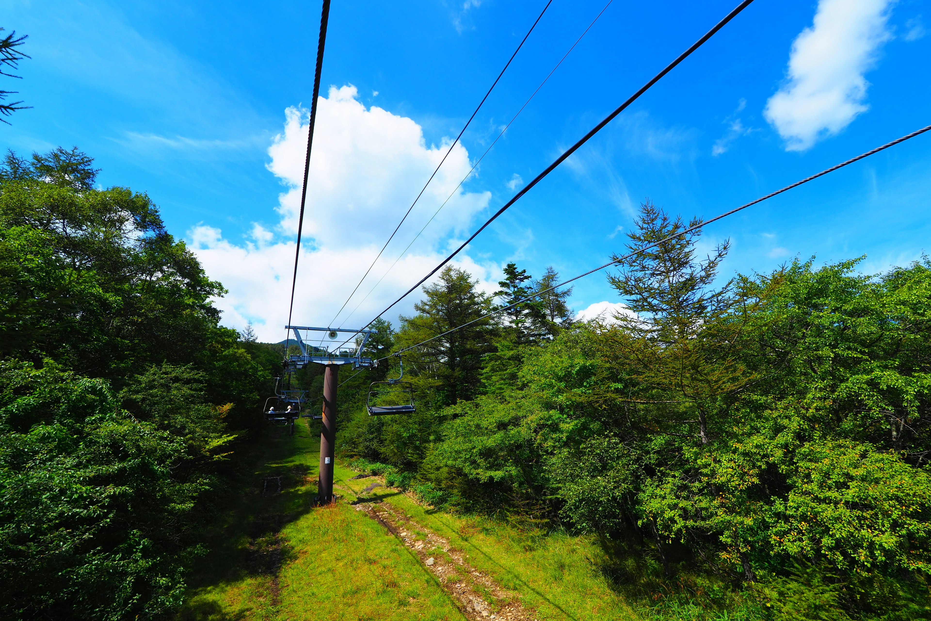 Vista panoramica di vegetazione lussureggiante sotto un cielo blu con nuvole e linee elettriche