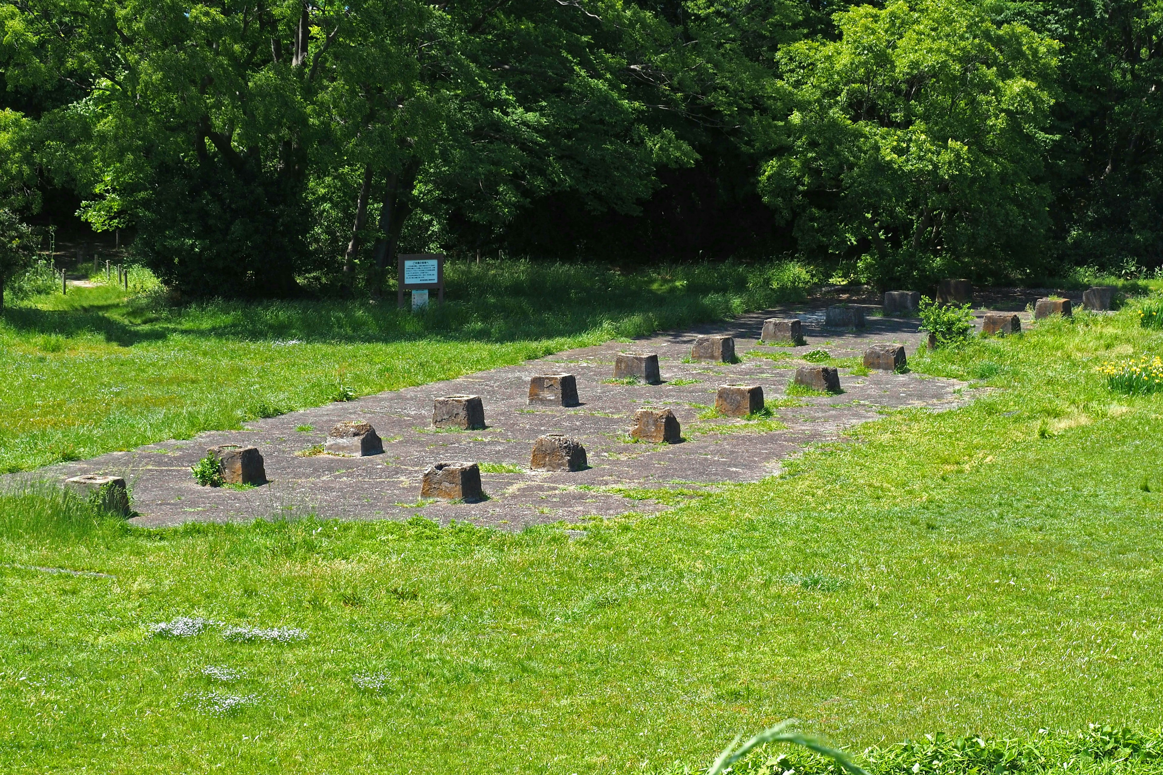 緑の草地にある円形の石の構造物の遺跡