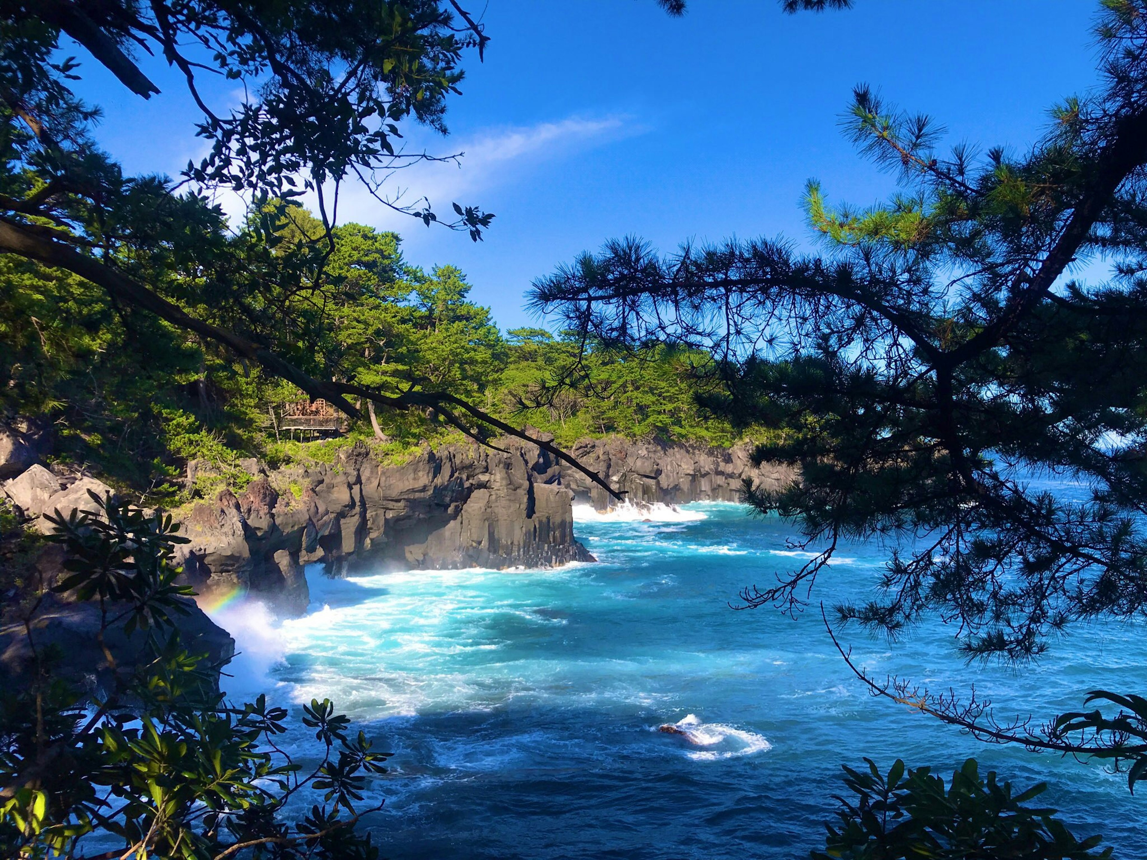 Pemandangan laut biru dan garis pantai berbatu dikelilingi pepohonan