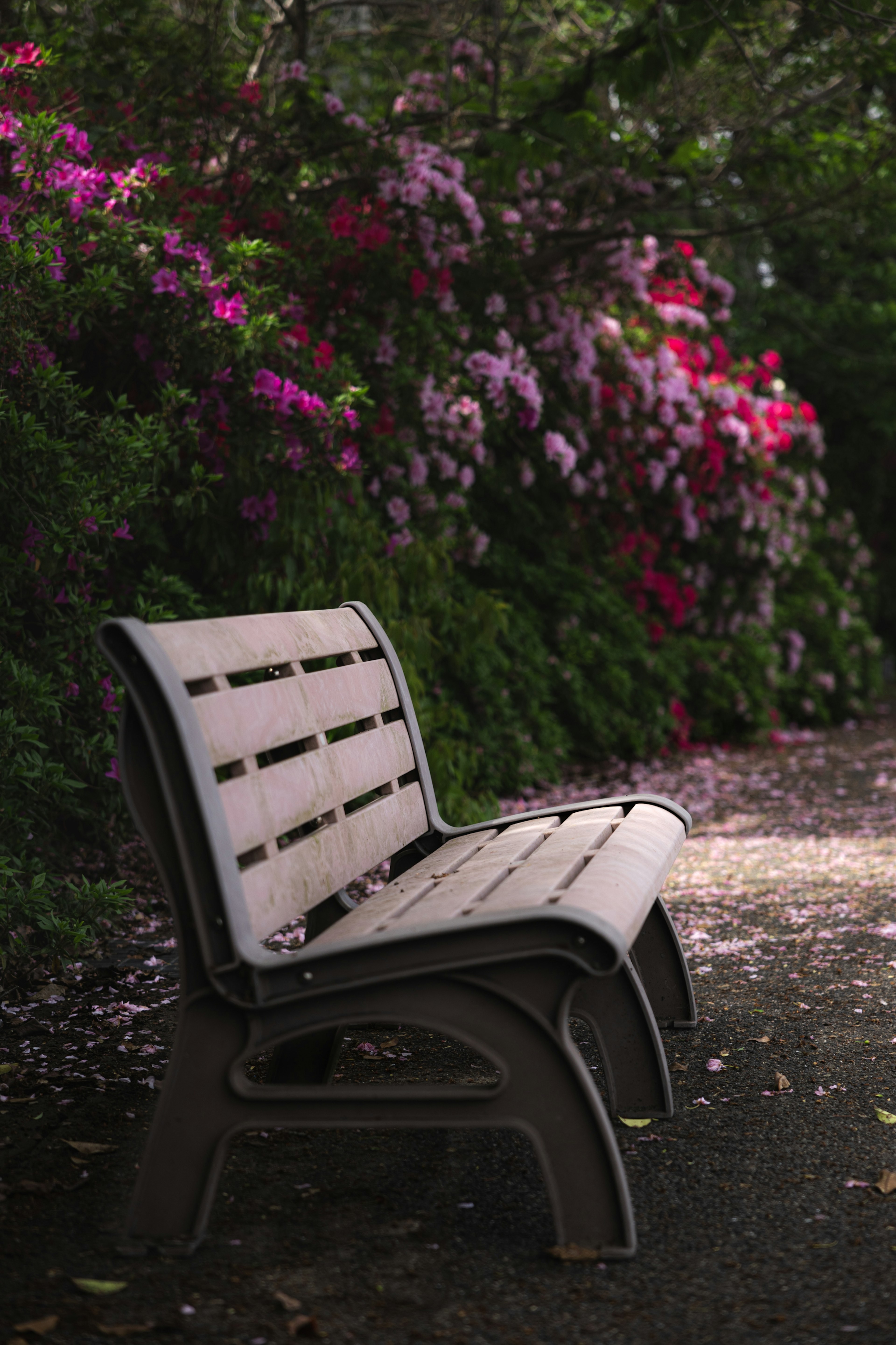 Banco de parque rodeado de flores vibrantes