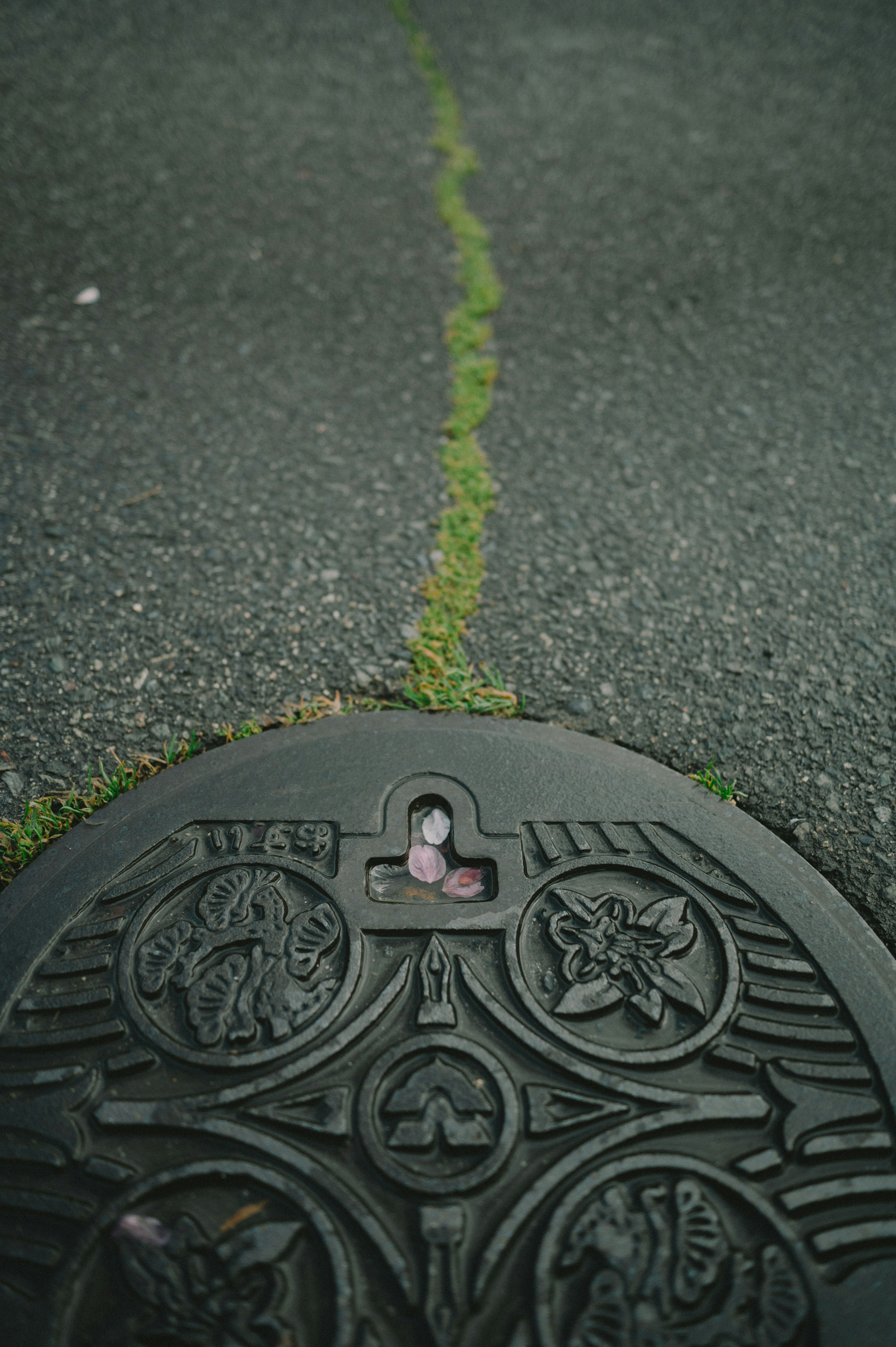 Black manhole cover with intricate designs and grass growing nearby