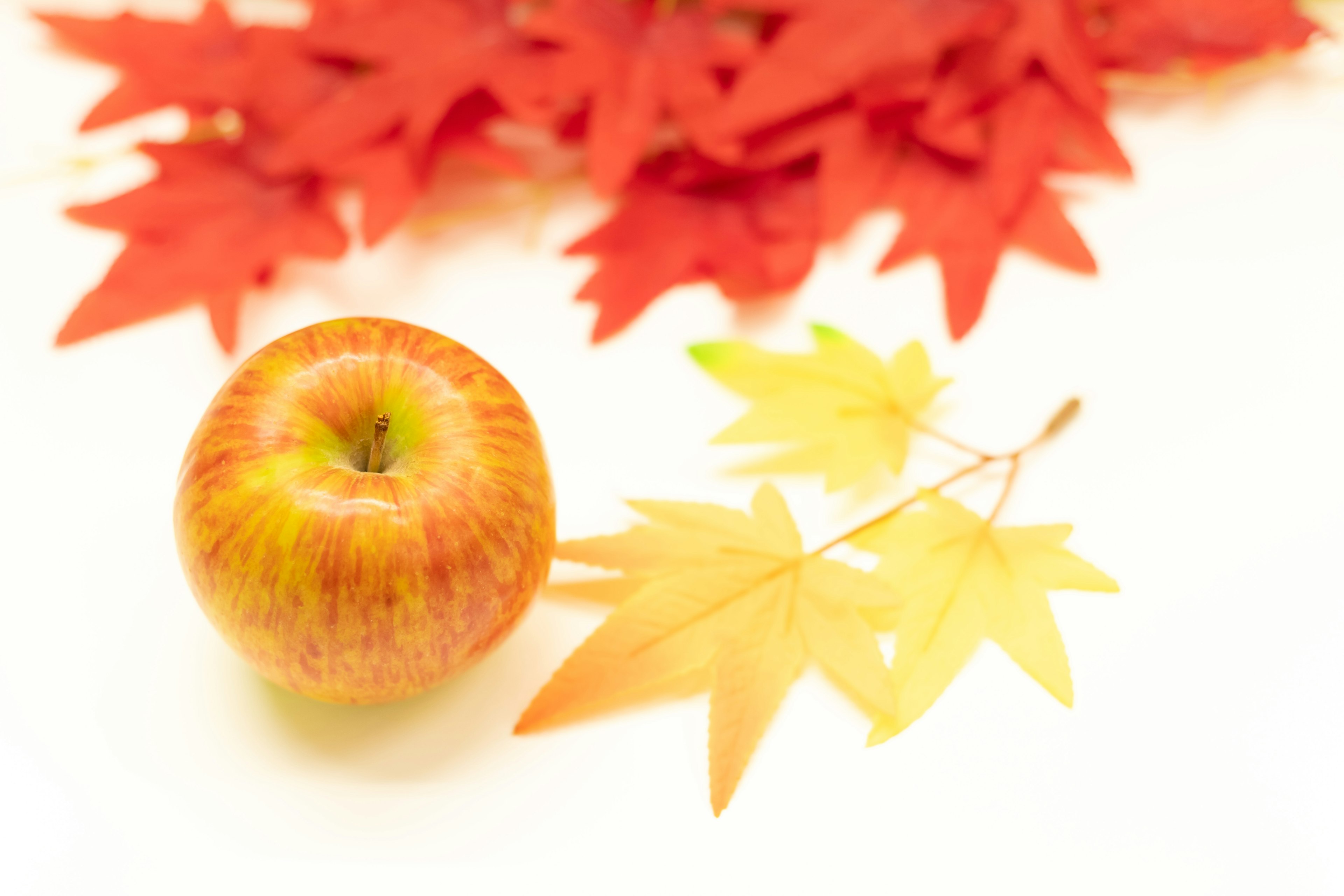 An apple placed among red and yellow autumn leaves