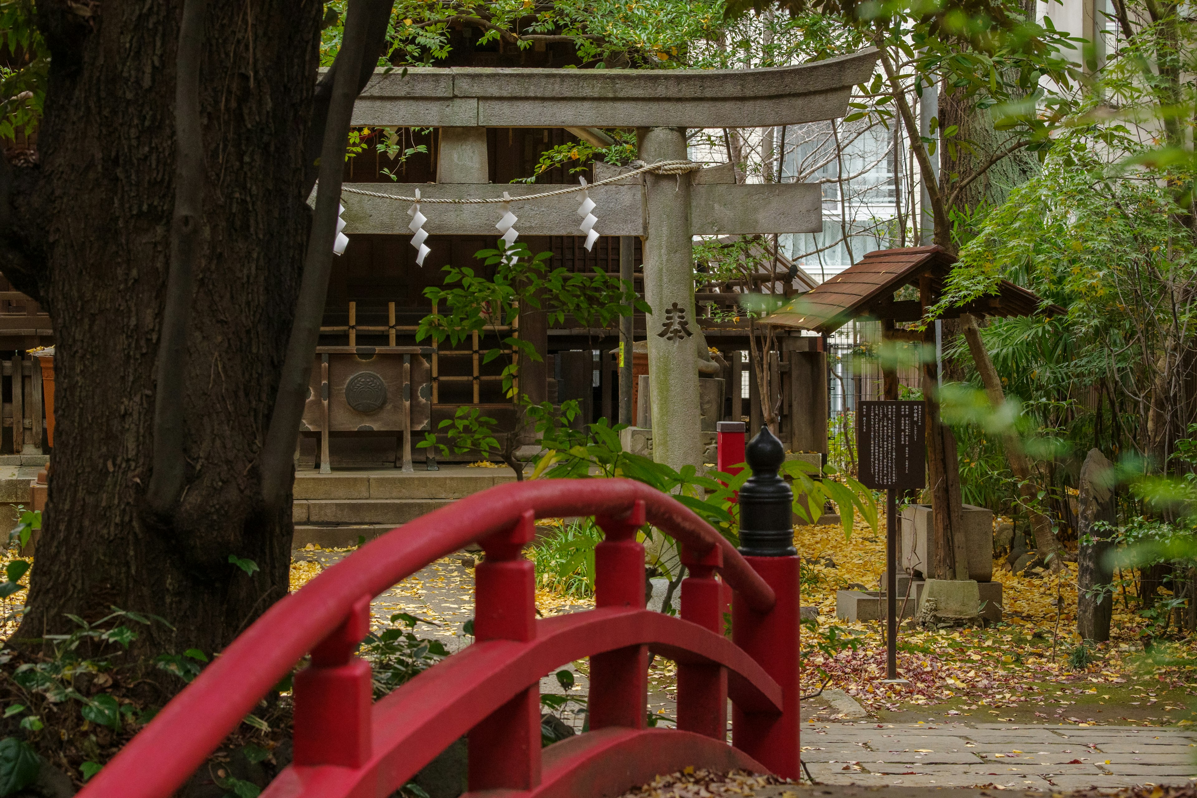 Red bridge leading to a serene shrine surrounded by autumn leaves and lush greenery