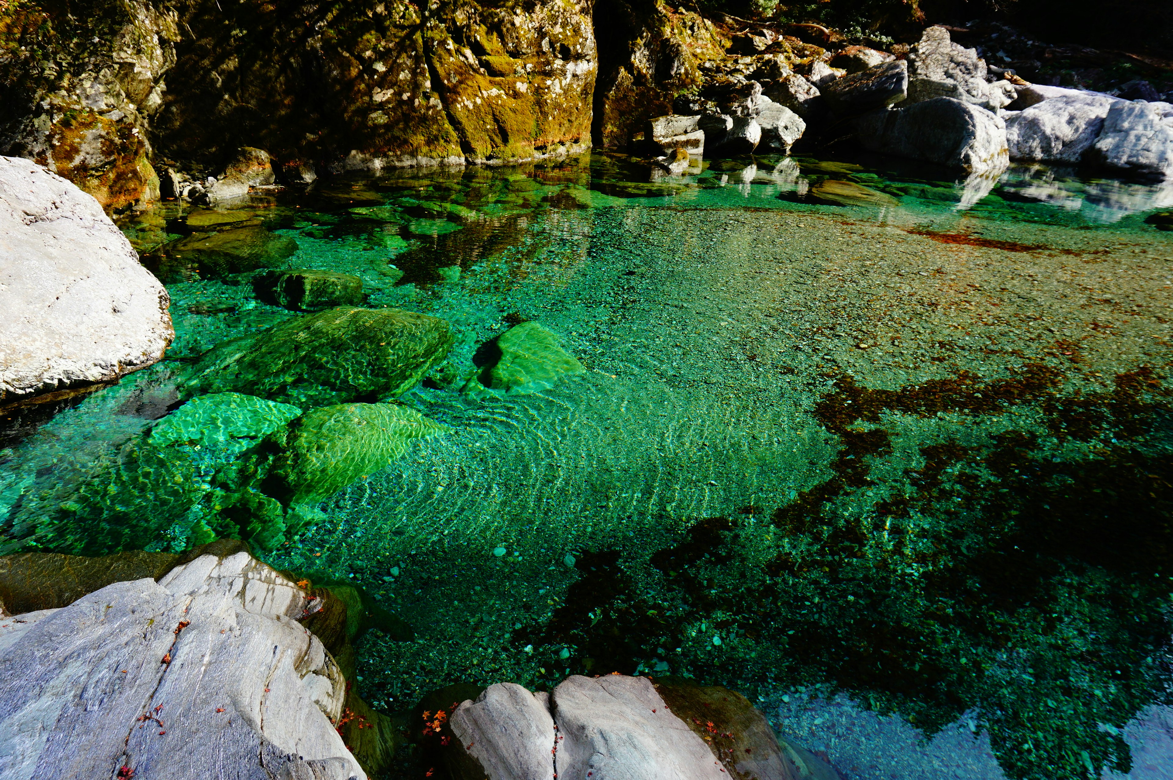 Acqua turchese trasparente che scorre su un letto di fiume roccioso con pietre verdi