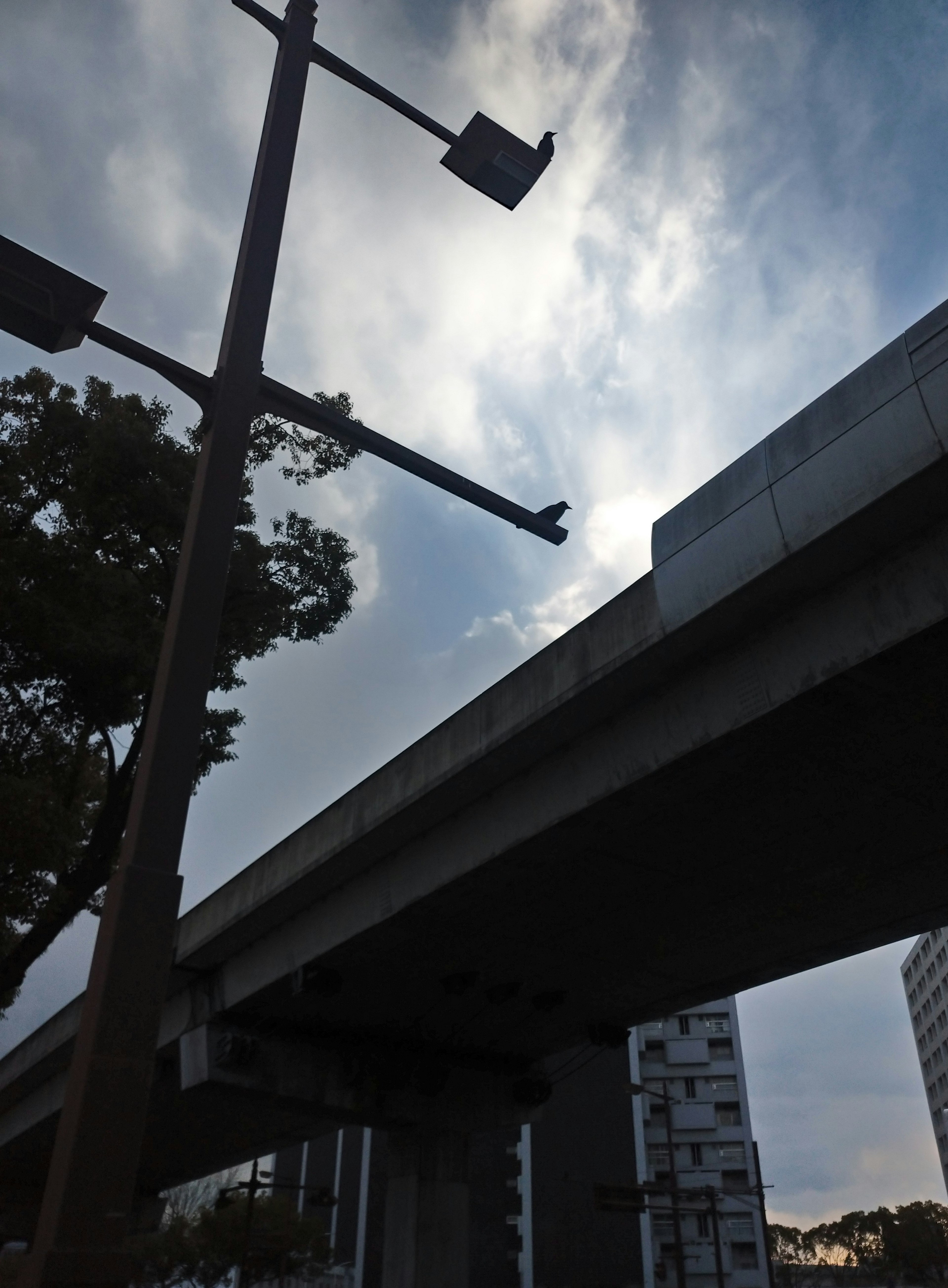 Vista desde abajo de una carretera elevada mostrando soportes metálicos y farolas con un cielo nublado