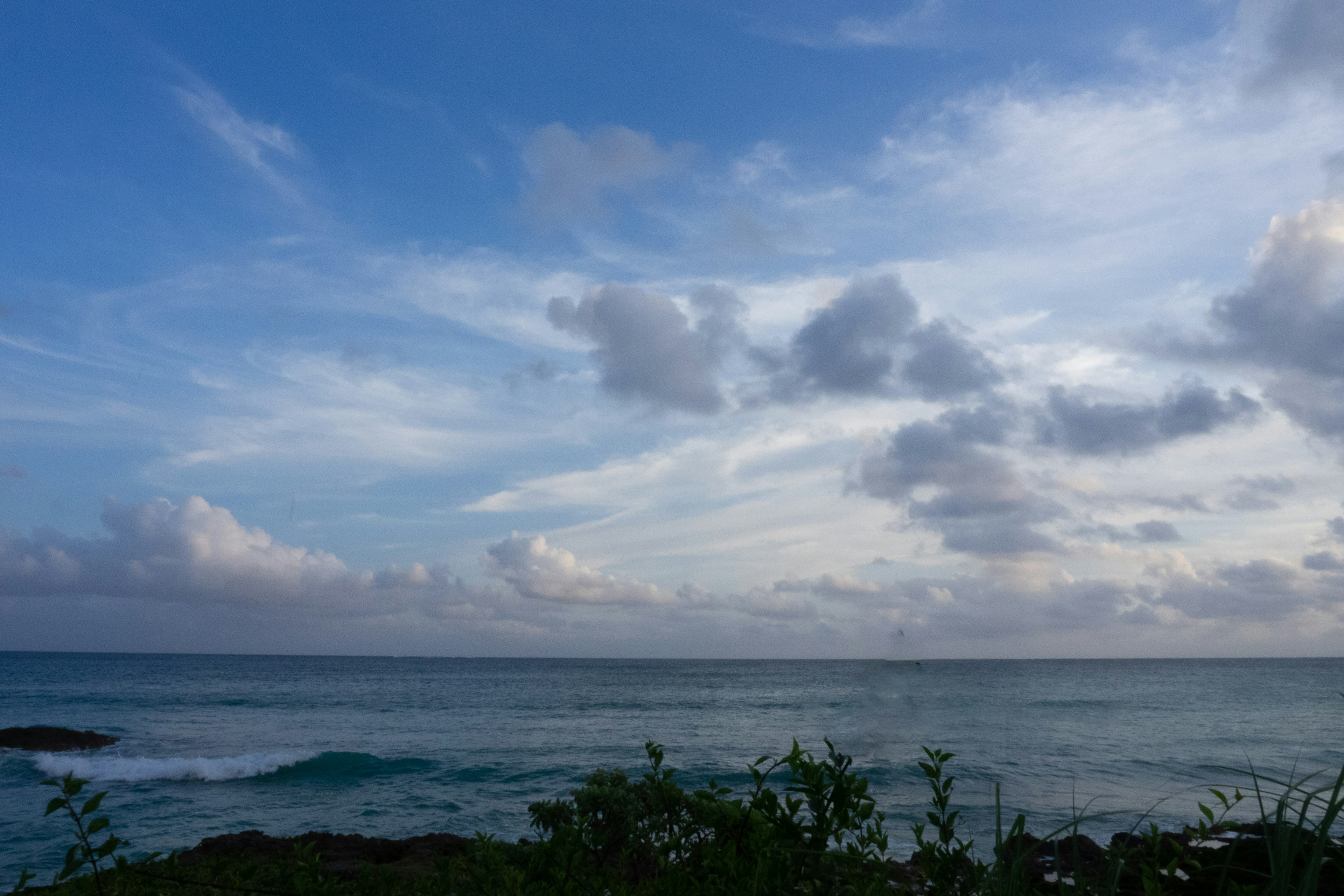 海洋風景，藍天和雲朵在海洋上方，綠色植物