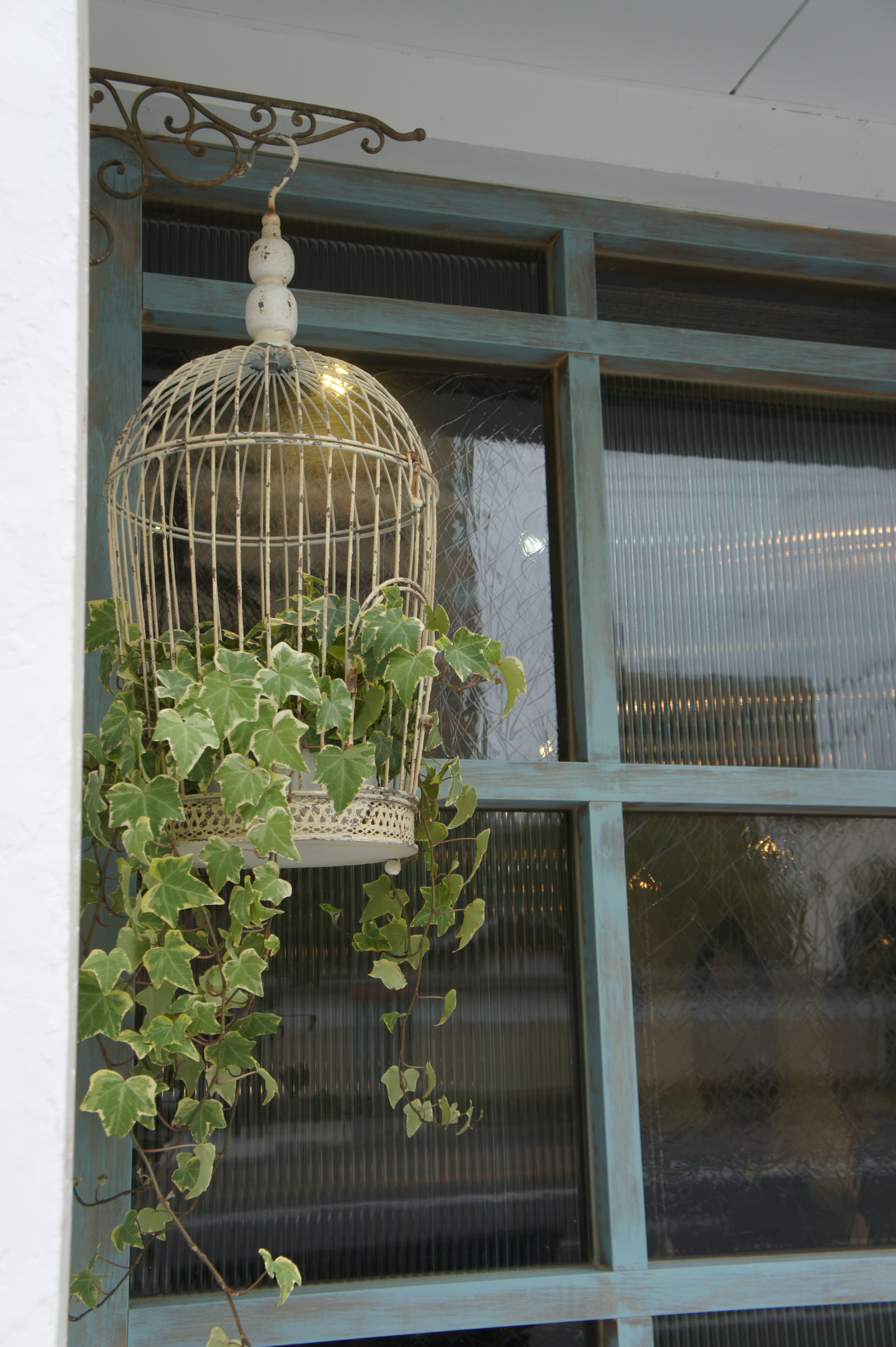 Hängender Vogelkäfig mit Efeublättern am Fenster