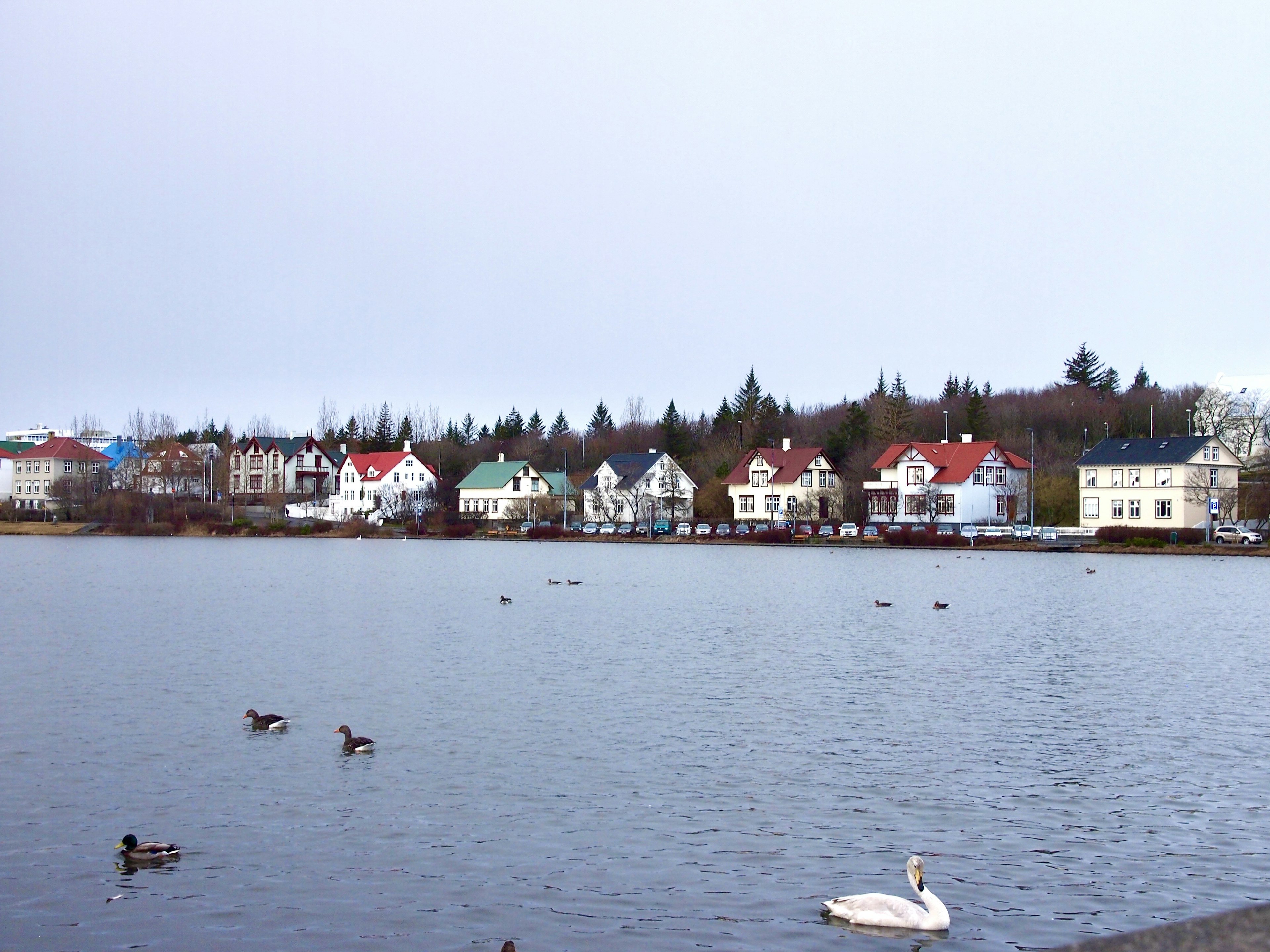 Scenic view of a calm lake with colorful houses and ducks swimming