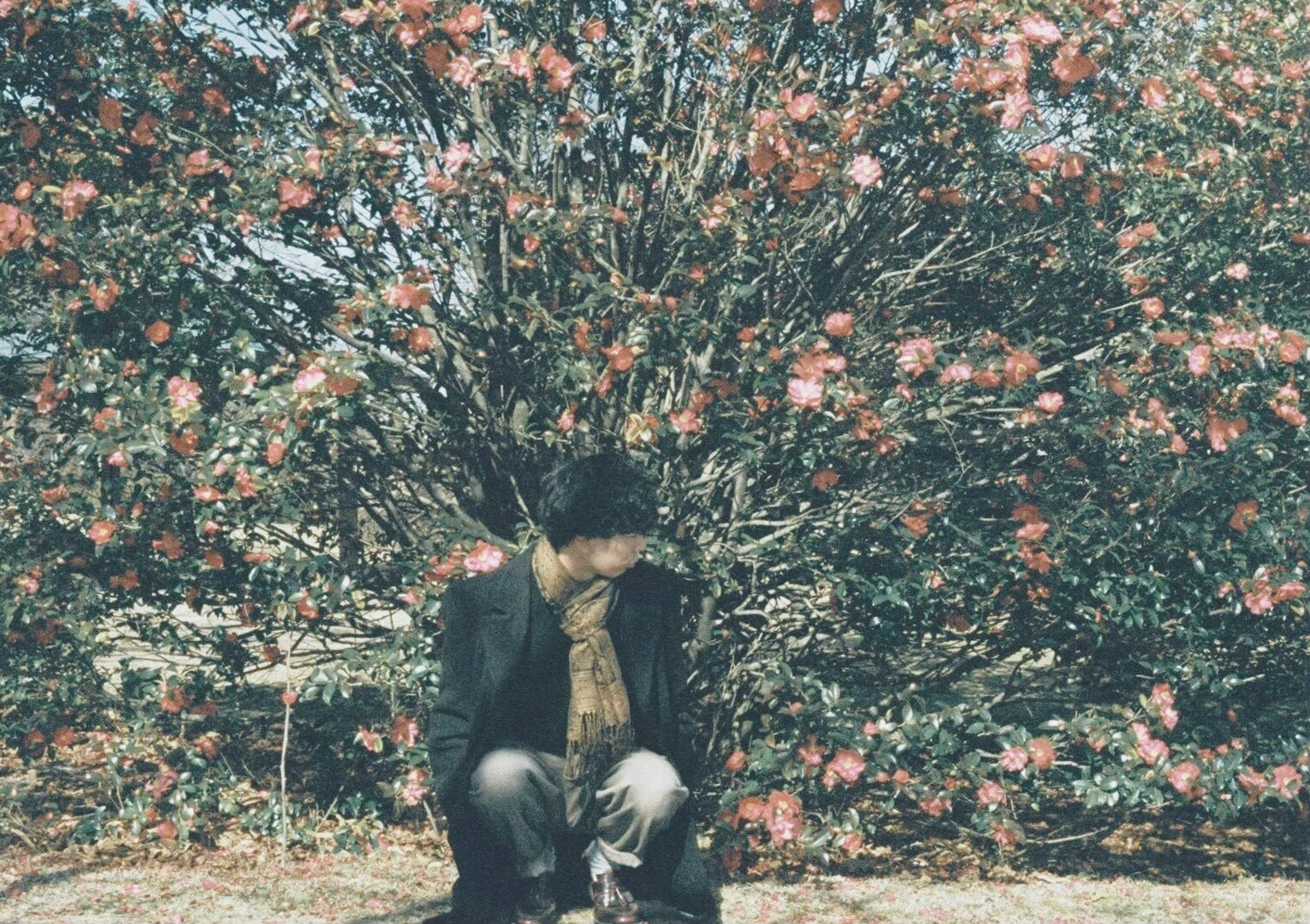 A person sitting behind a flowering bush with pink blossoms