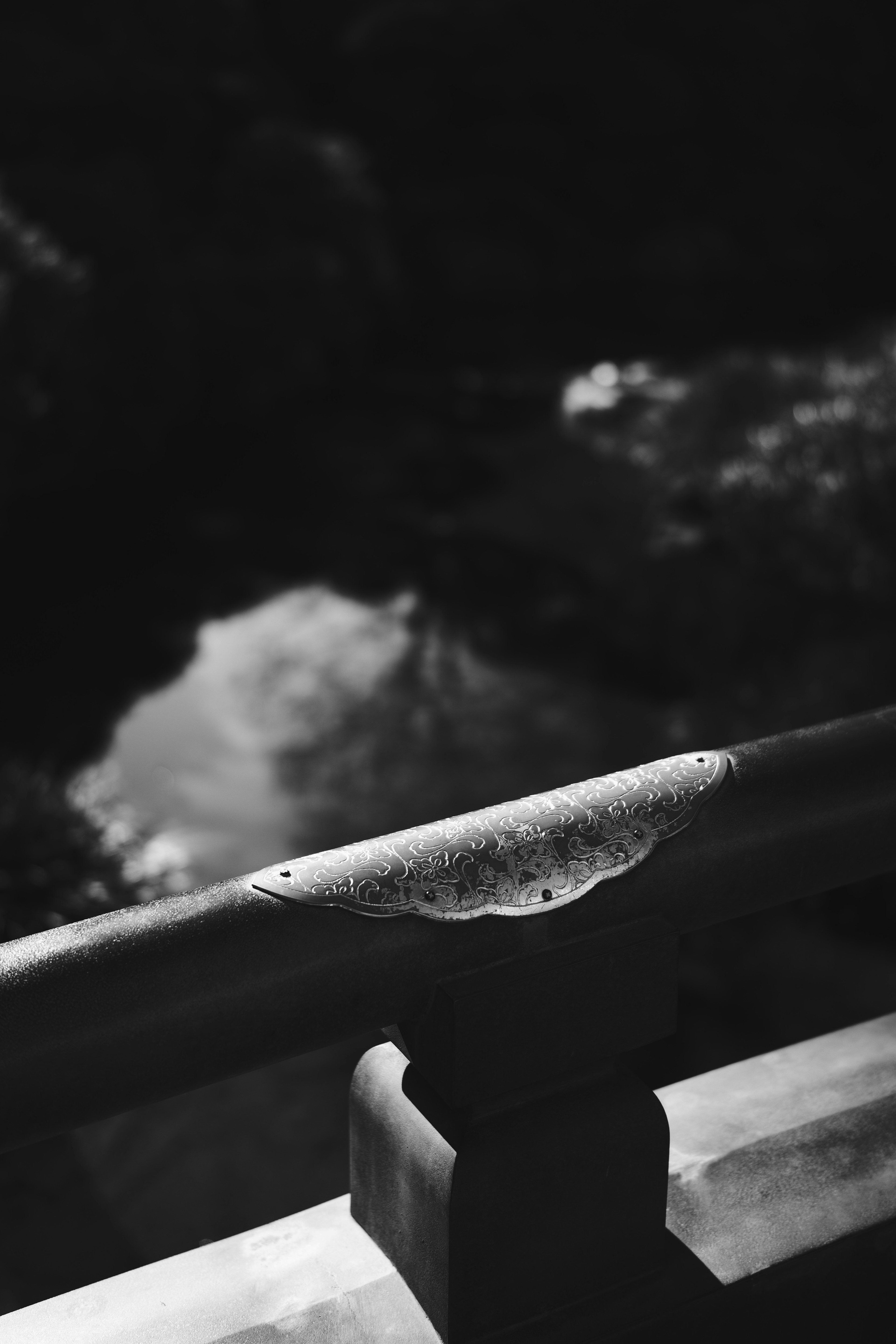 Imagen en blanco y negro contrastante de una barandilla de puente con reflejos en el agua