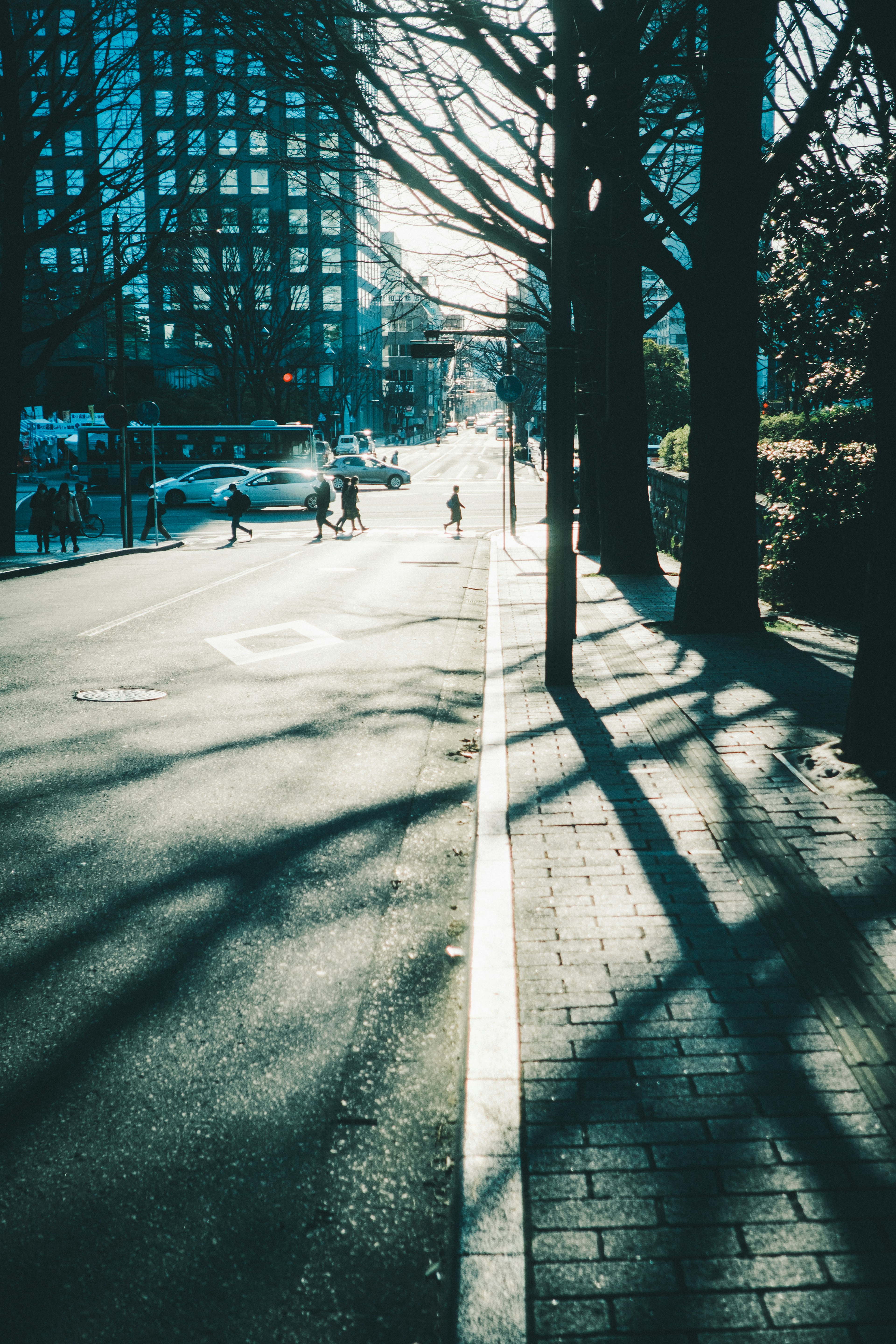 Rue tranquille avec des ombres d'arbres le long du trottoir