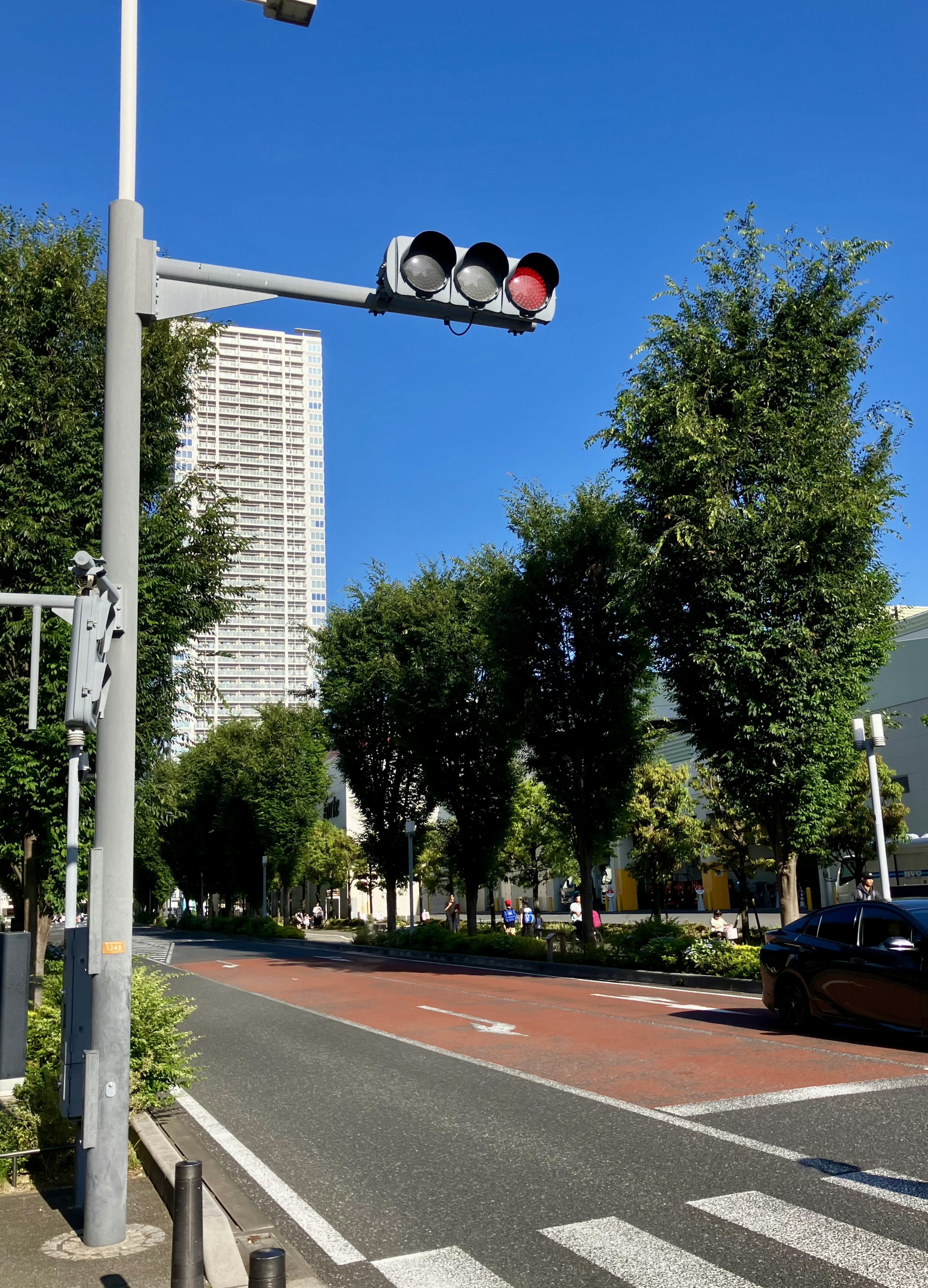 Traffic light and tall building along tree-lined street under blue sky