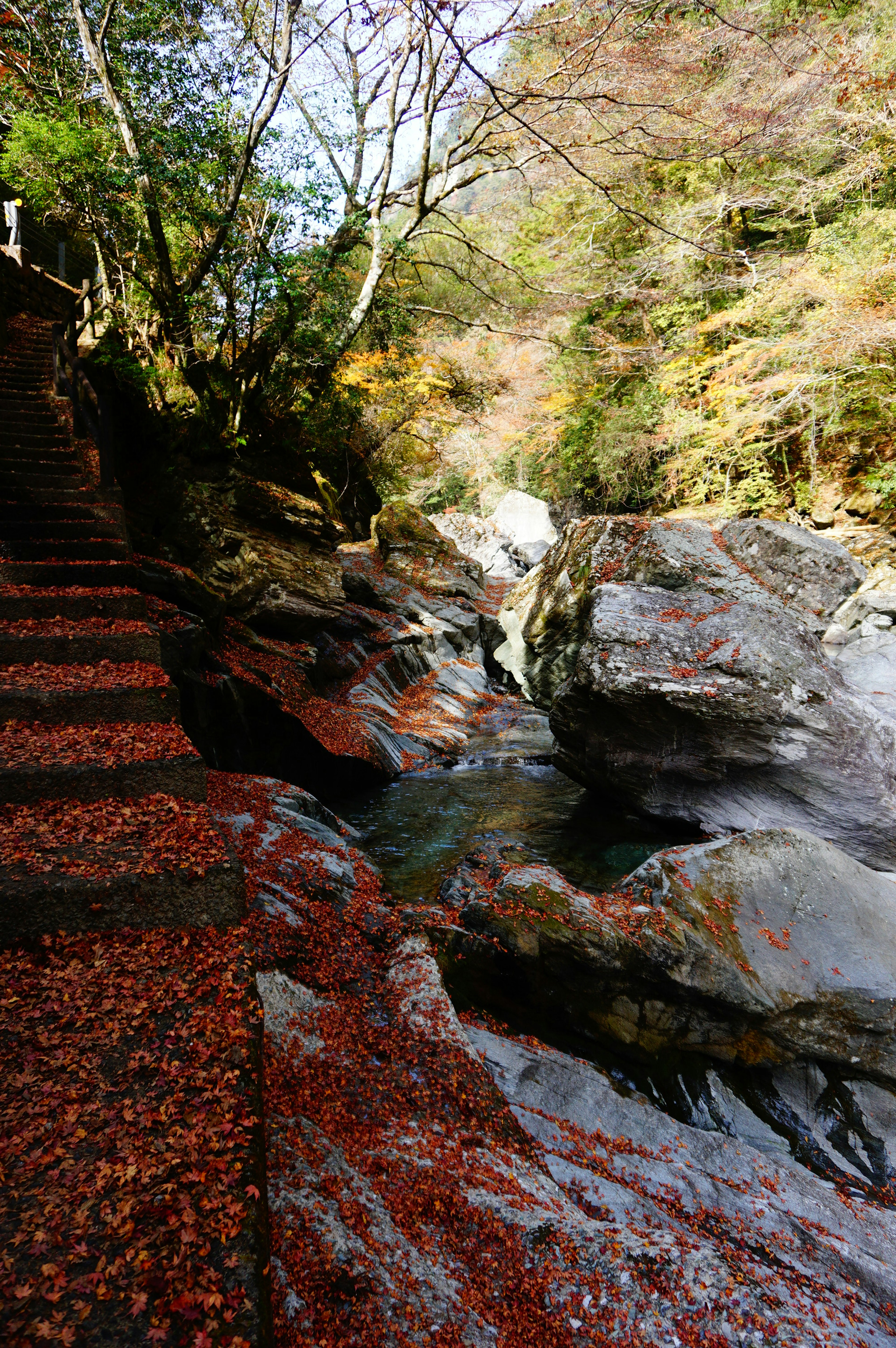 紅葉の落ち葉が敷き詰められた小道と川の流れ