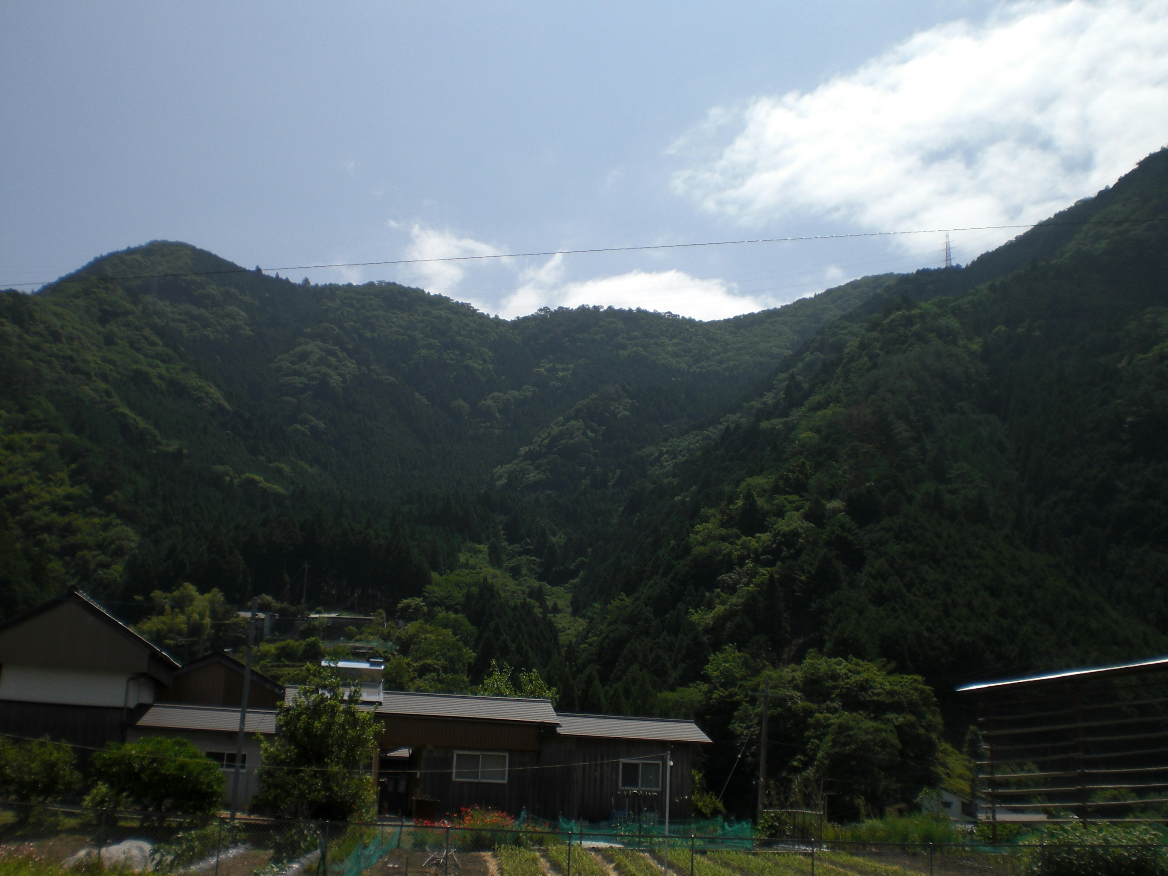 緑豊かな山々に囲まれた農村の風景