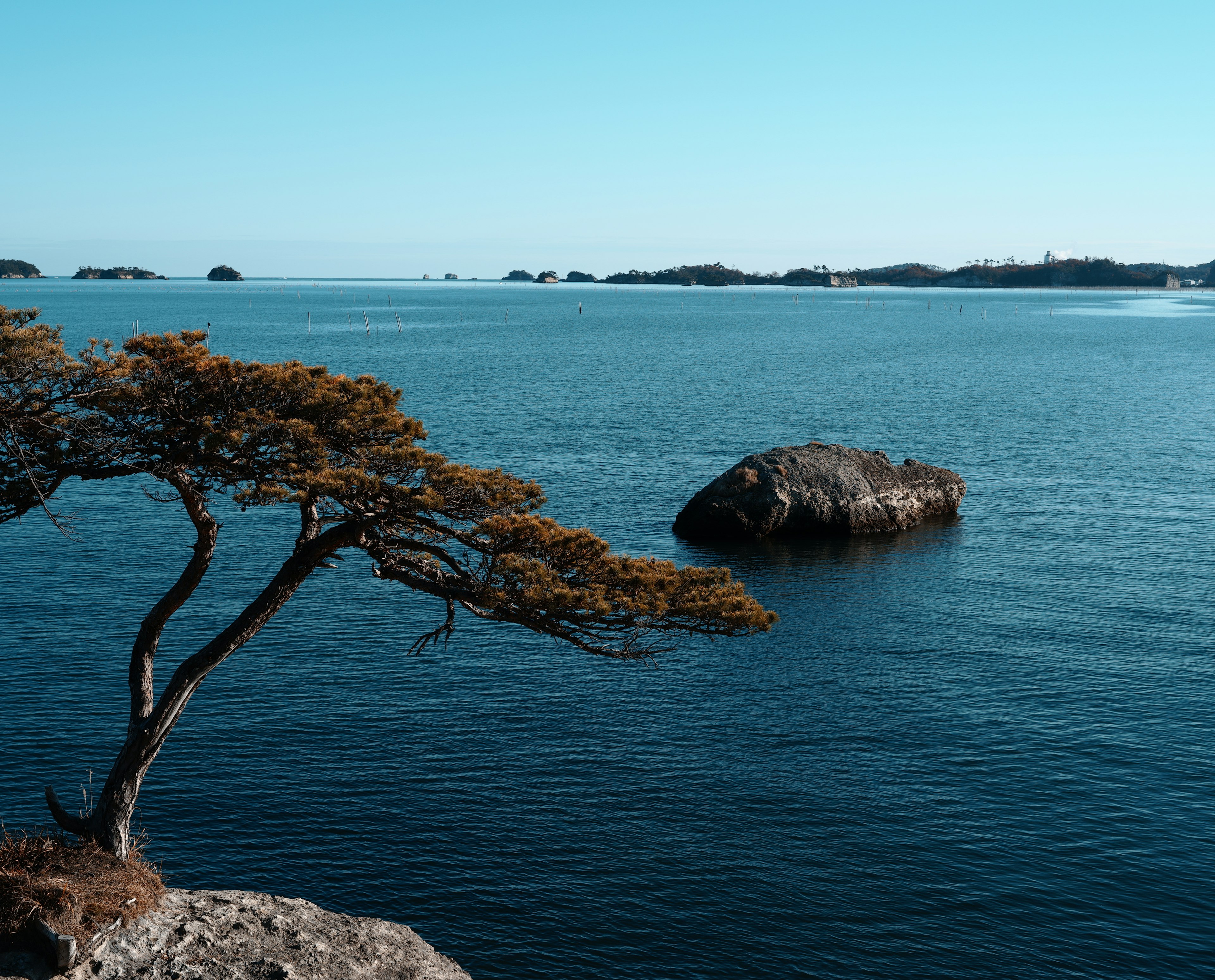 Eine Landschaft mit einem Baum und einem Felsen am Meer