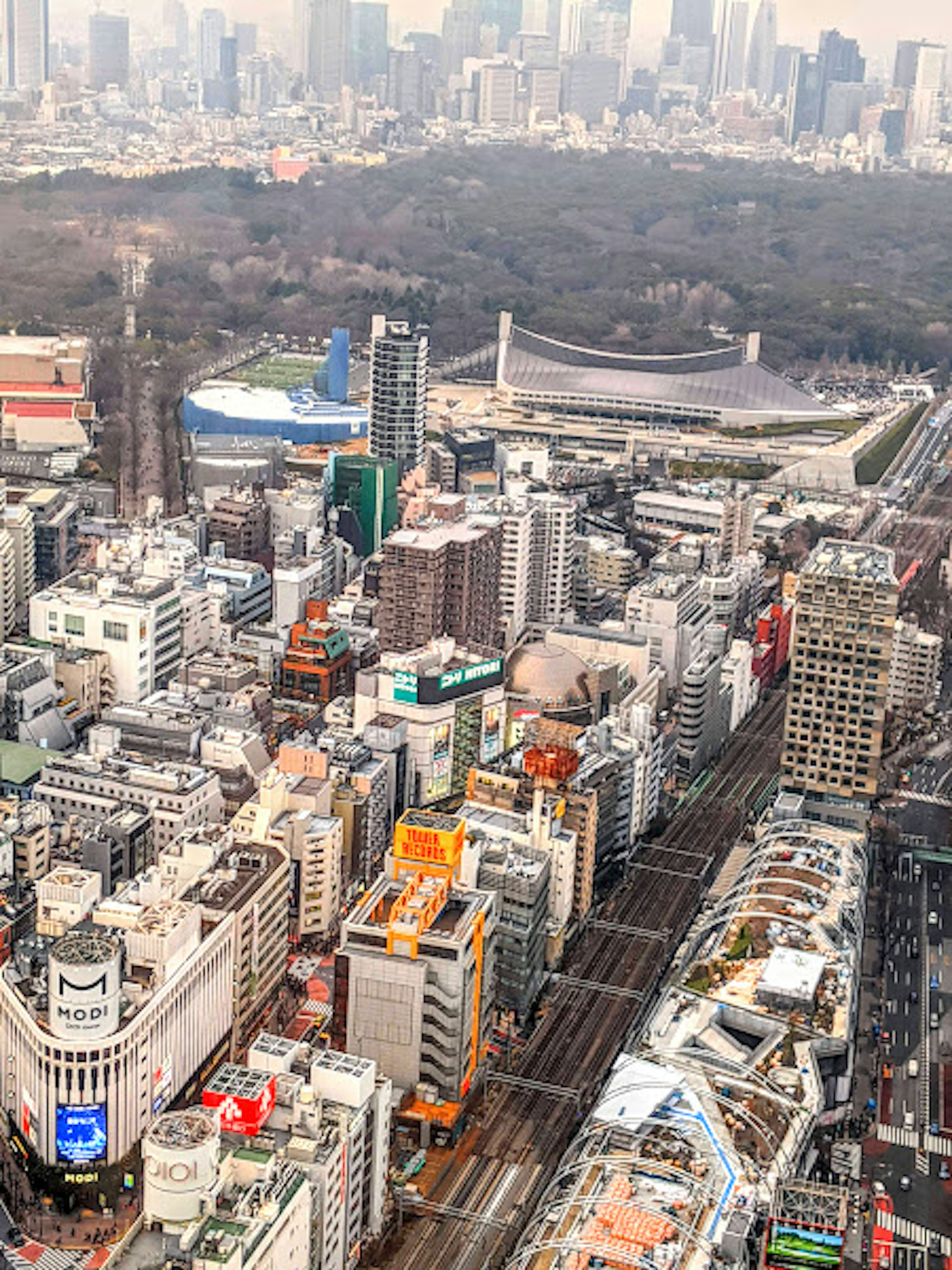 東京天際線的鳥瞰圖，包含建築和公園