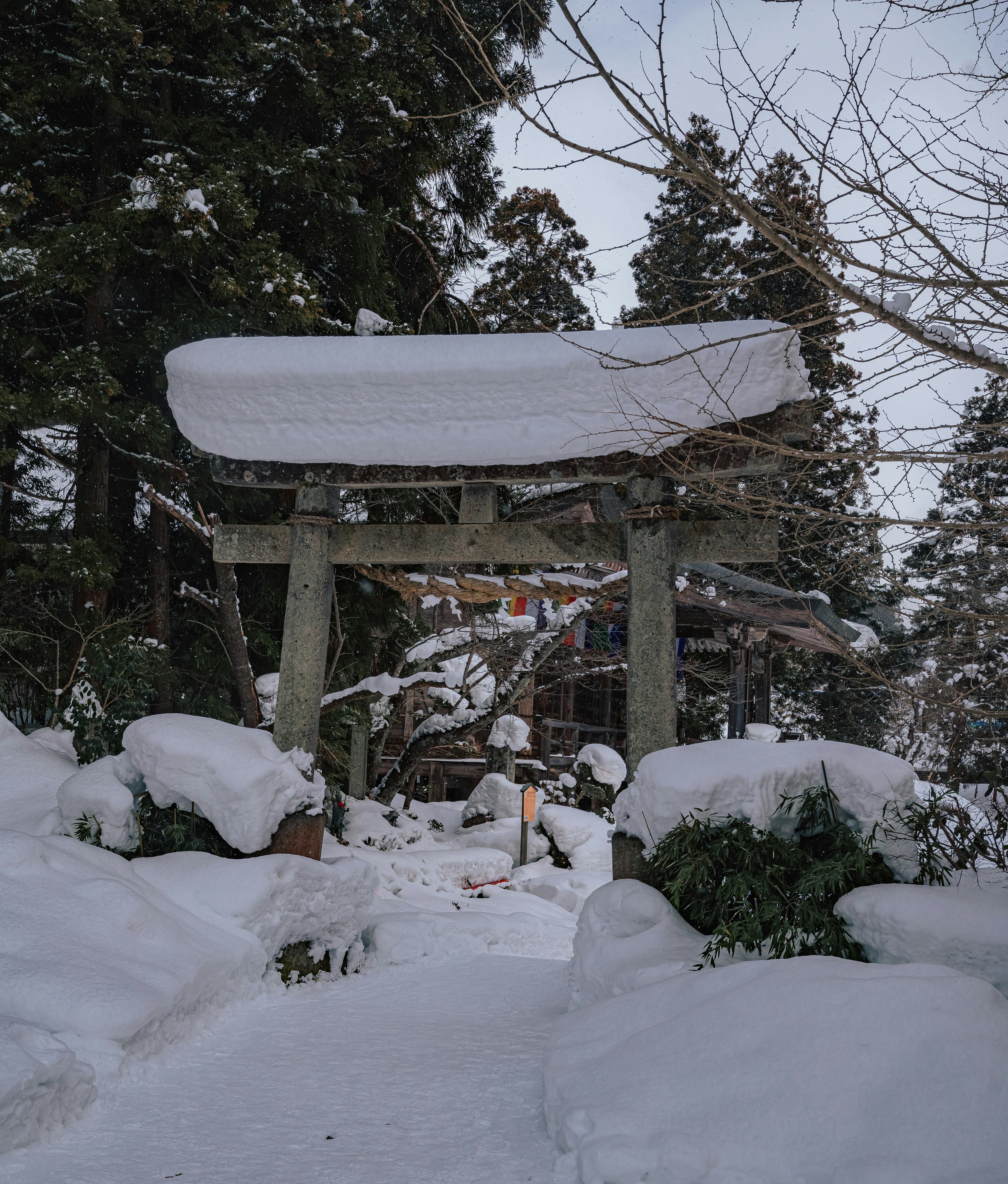 雪に覆われた鳥居と静かな森の風景