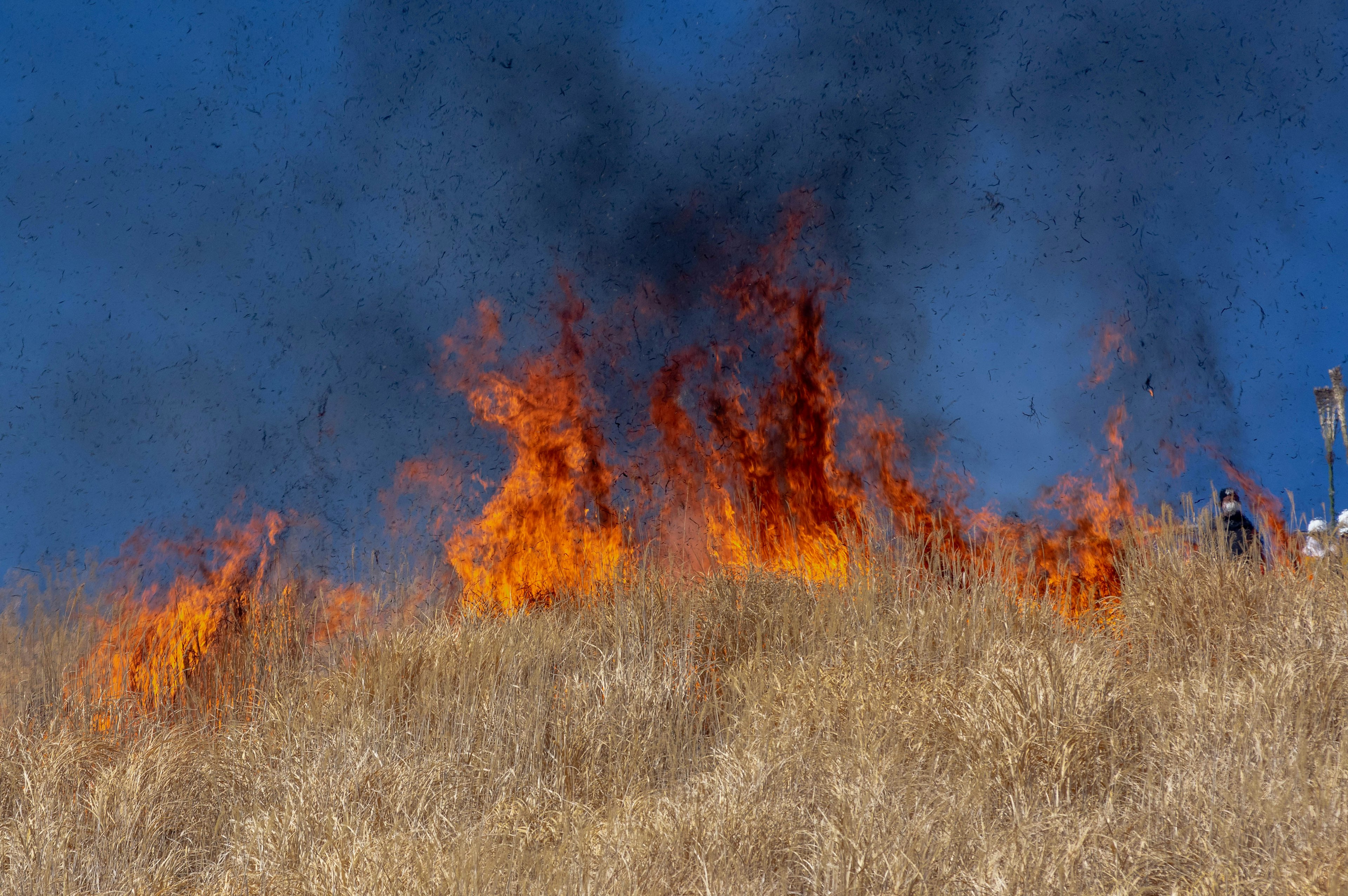 Flammen und Rauch steigen von trockenem Gras auf