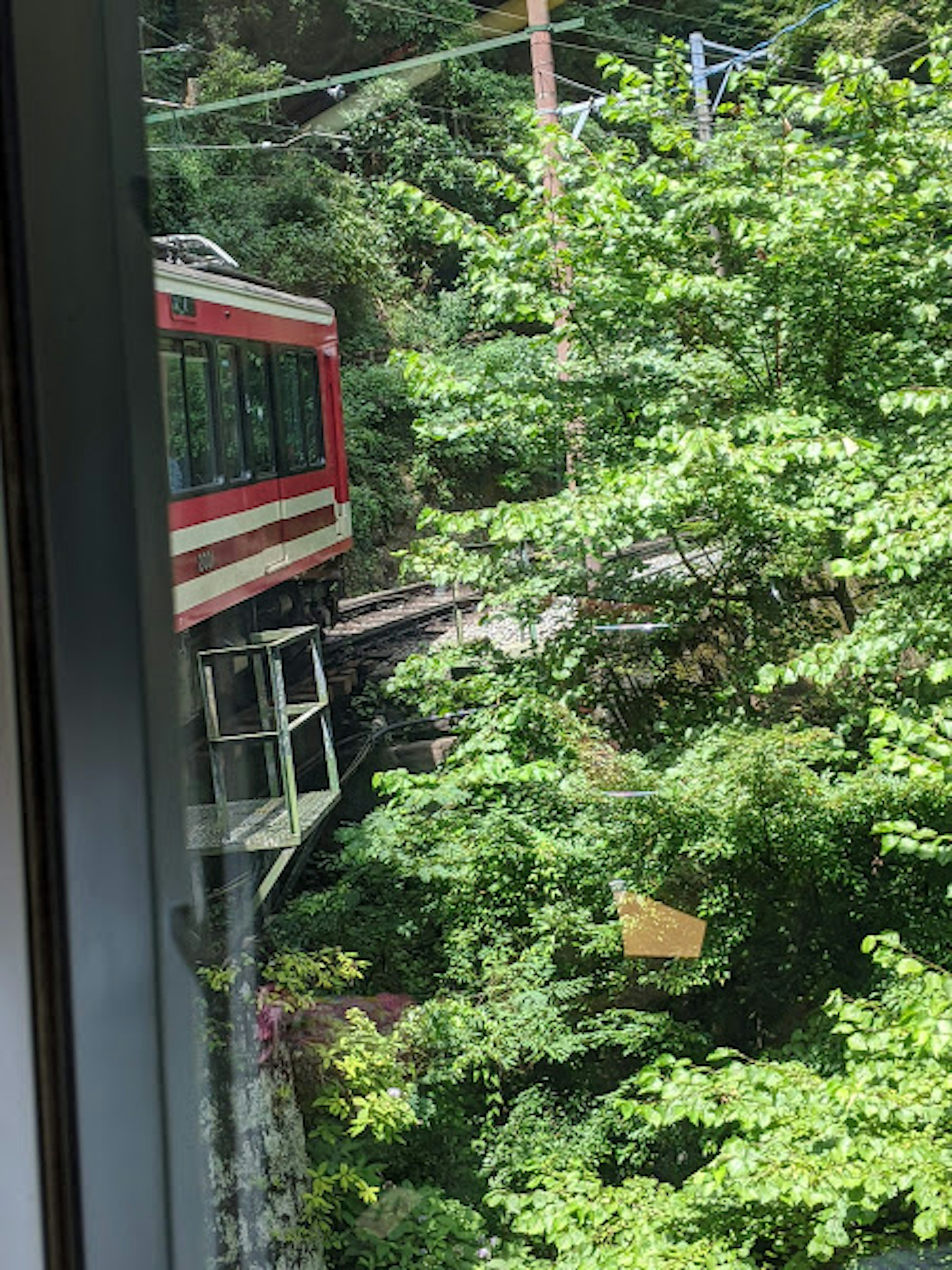 緑豊かな木々の中を走る赤い電車の側面